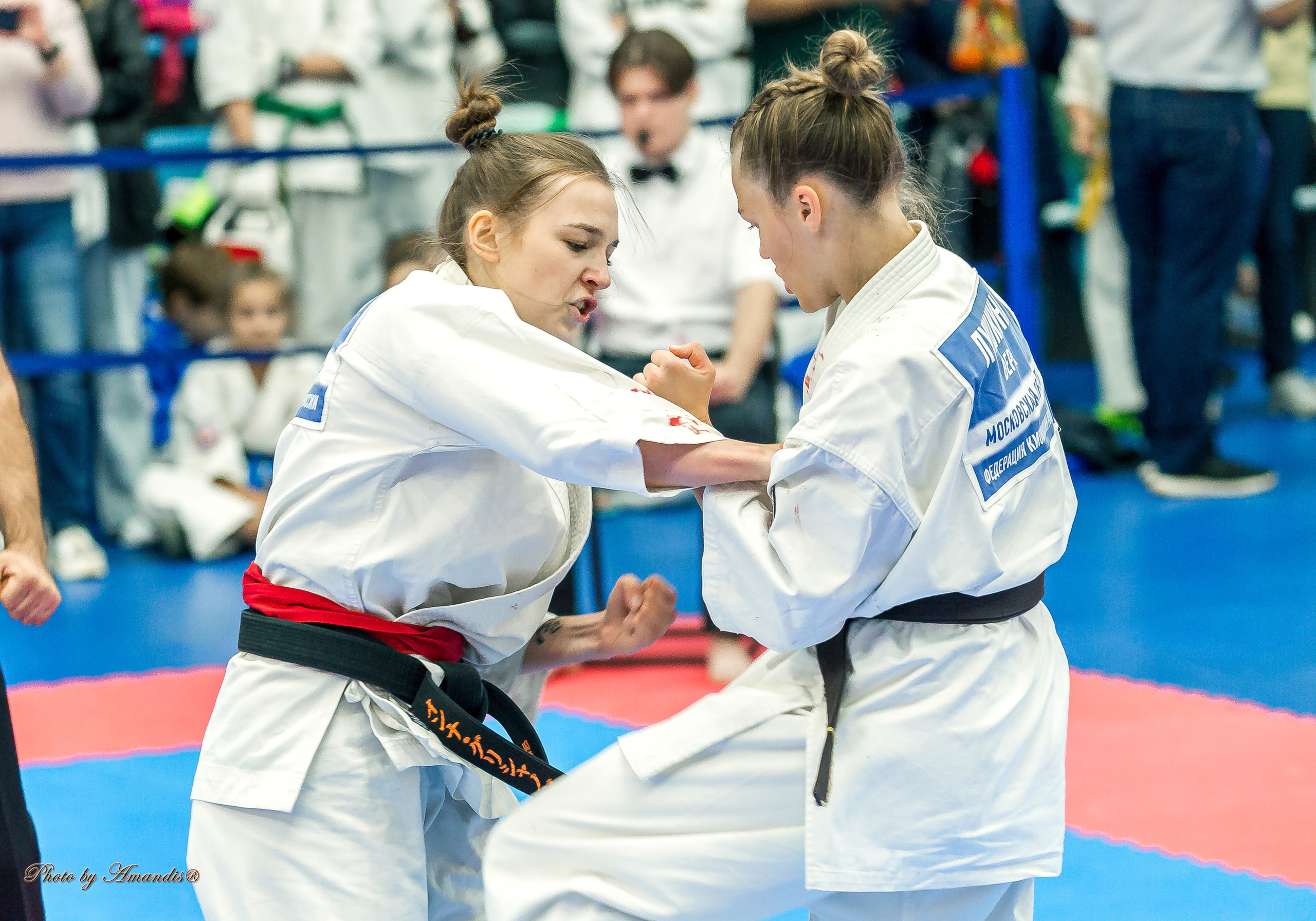 Чемпионат по Киокушинкай Центрального Федерального округа. Репортажная съемка в Москве и области. Анималистика