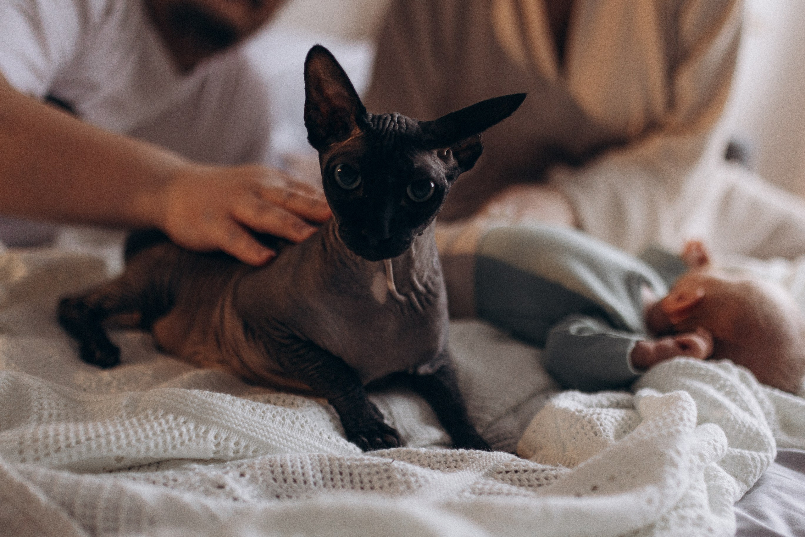 Лев, Леночка, Соня и Марк. Семейный lifestyle фотограф в Самаре Ольга @saflorra.ph