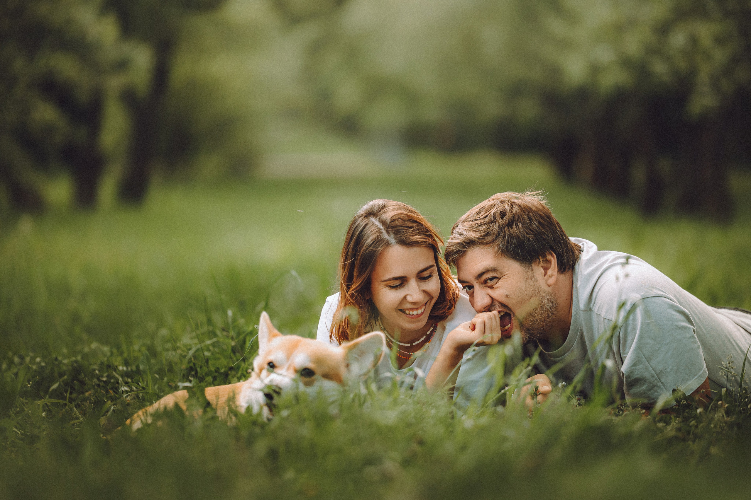 Вирджик и его семья