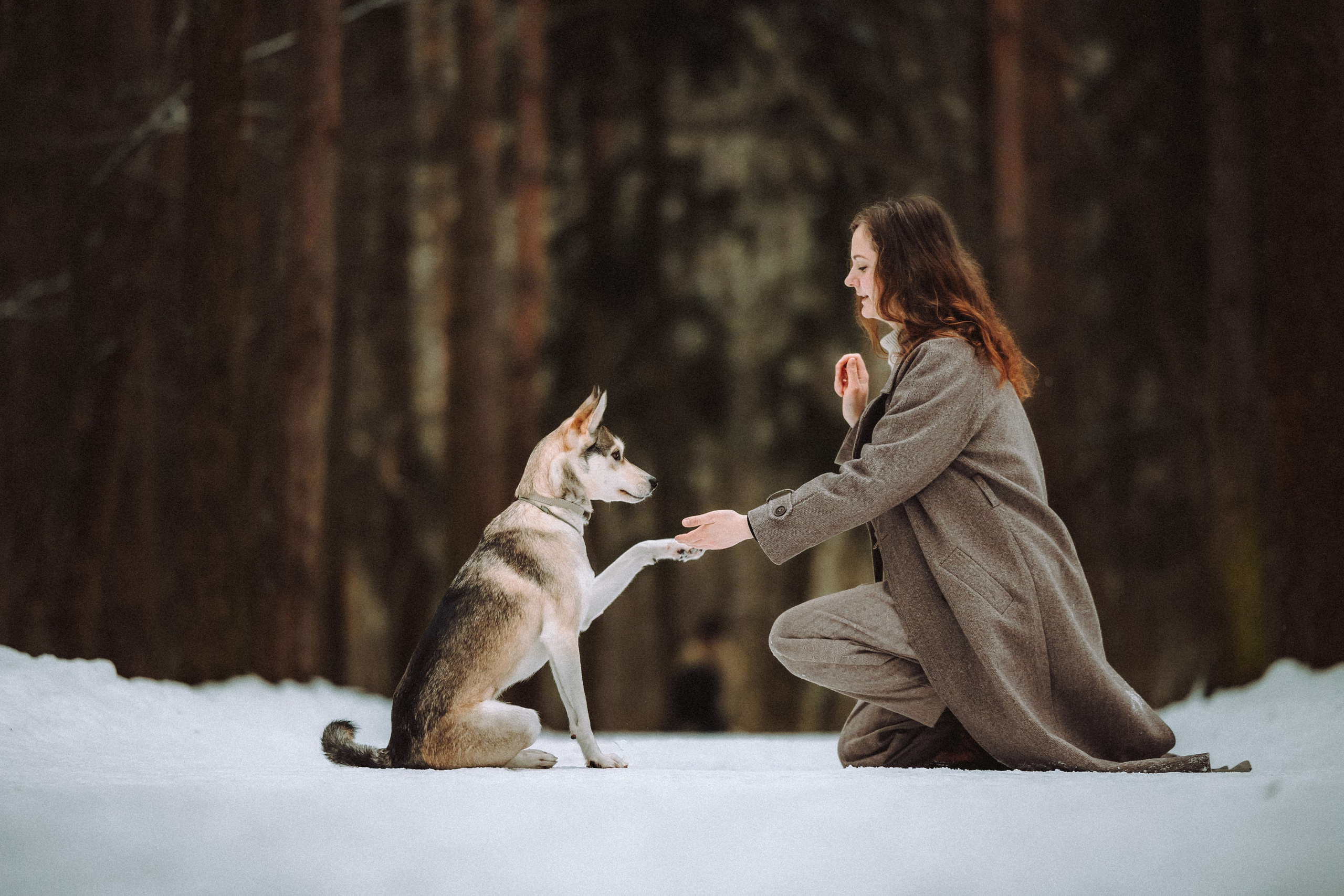 Аня и Рокси