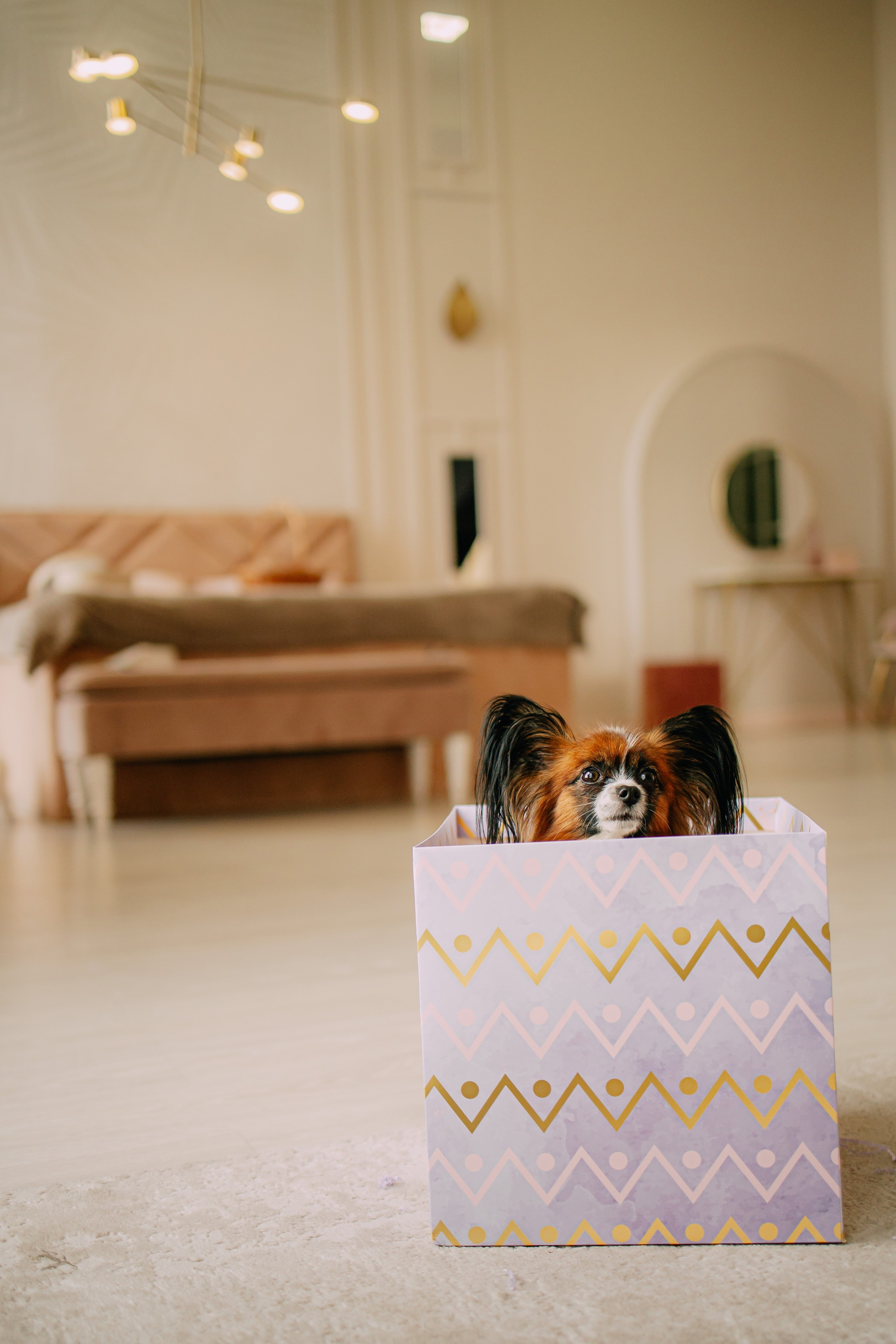 Султан, Мэй Мэй и Шанталь и их семья