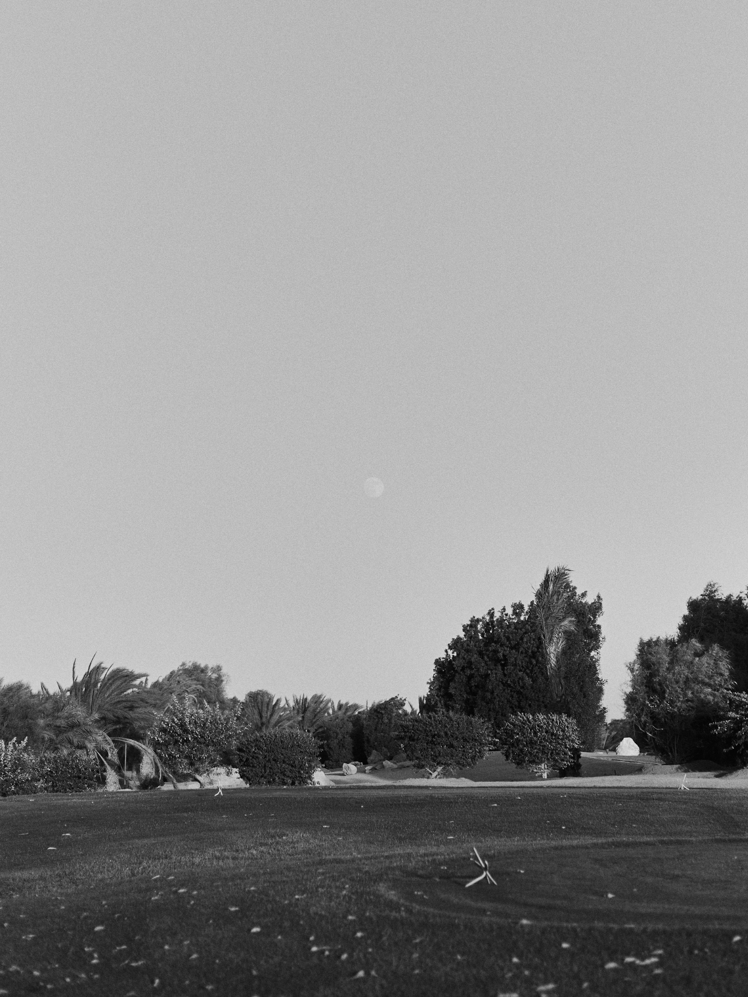 Другое 3. Jorgis Talè — photographer, kind person, teacher of arts and other mag