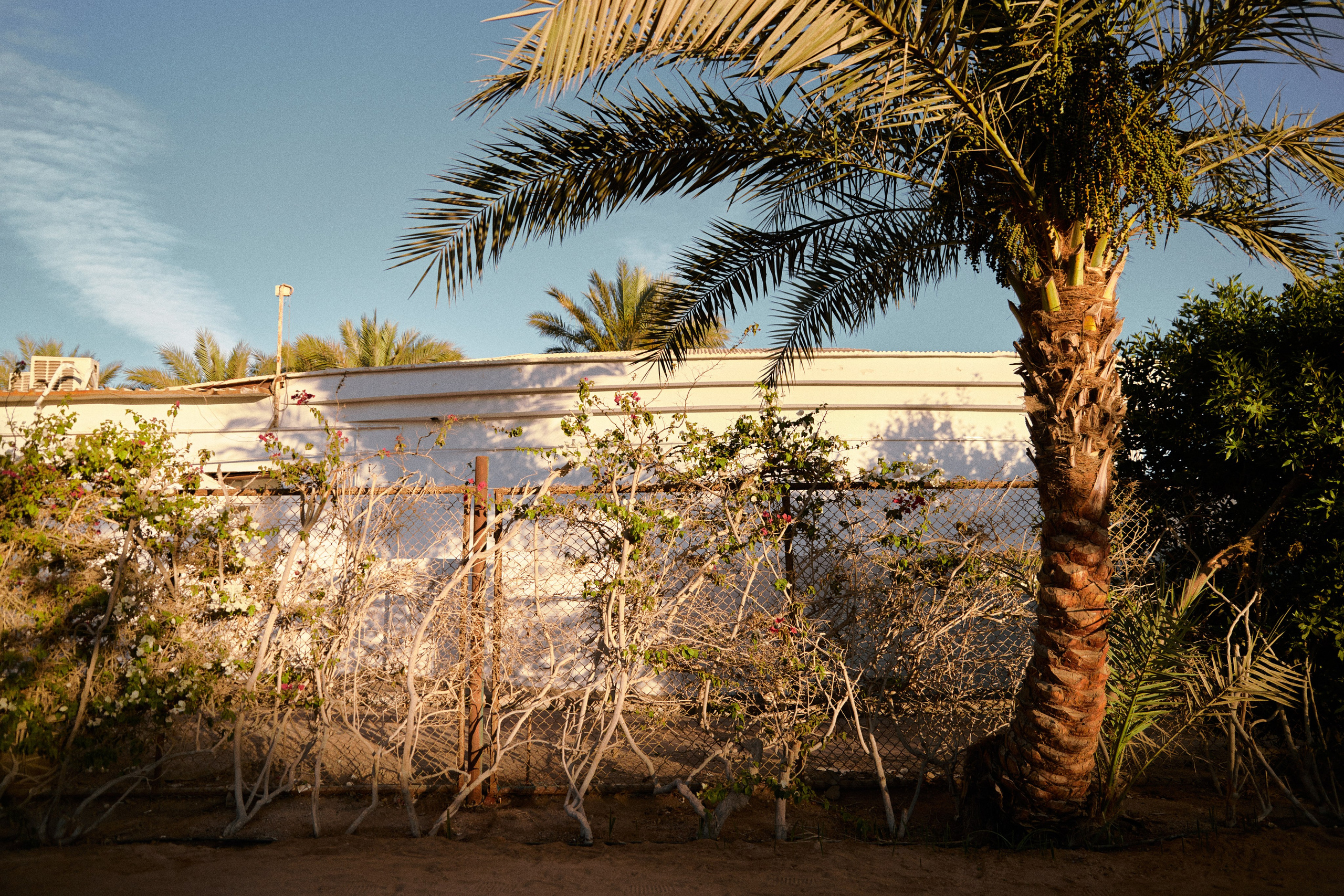 Улица горизонтальная. Jorgis — фотограф в Хургаде / обучение фотографии