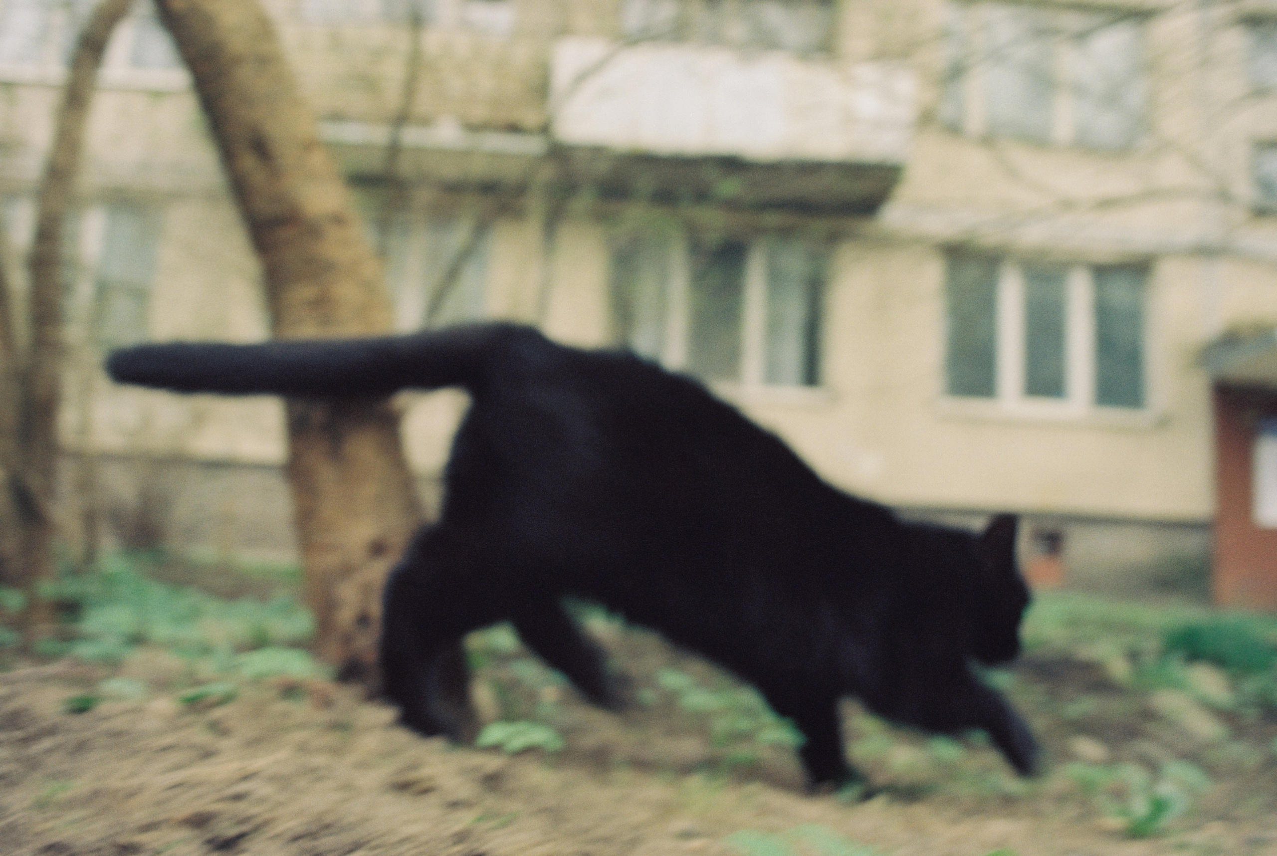 Плёночная весна 2025. Илья Михачёв Фотограф ПРО людей