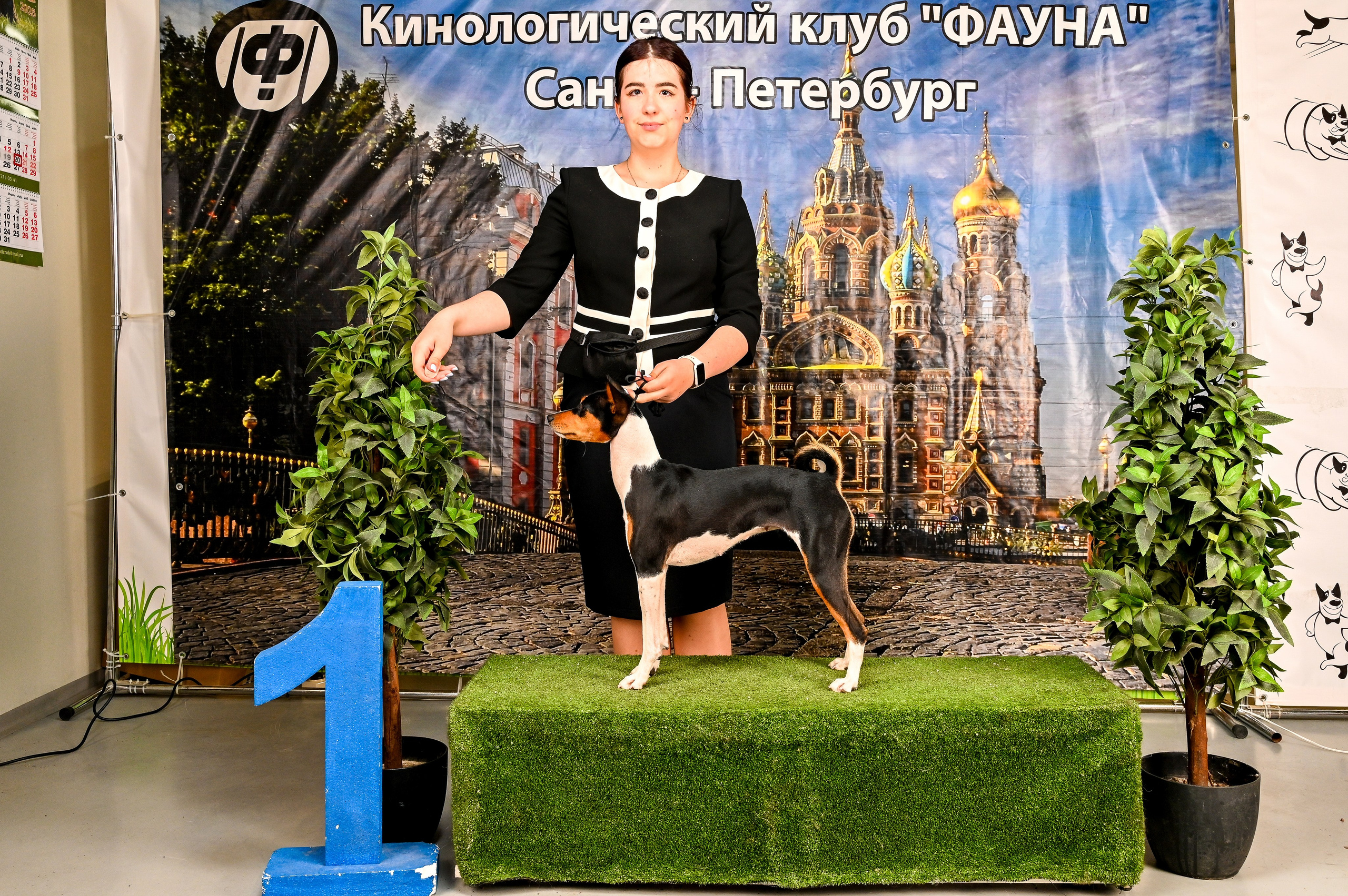 Выставка Клубы «Фауна» и «Догсити» 21-22 Июня 2025 «Пёсбург». Фотограф-анималист в СПб
