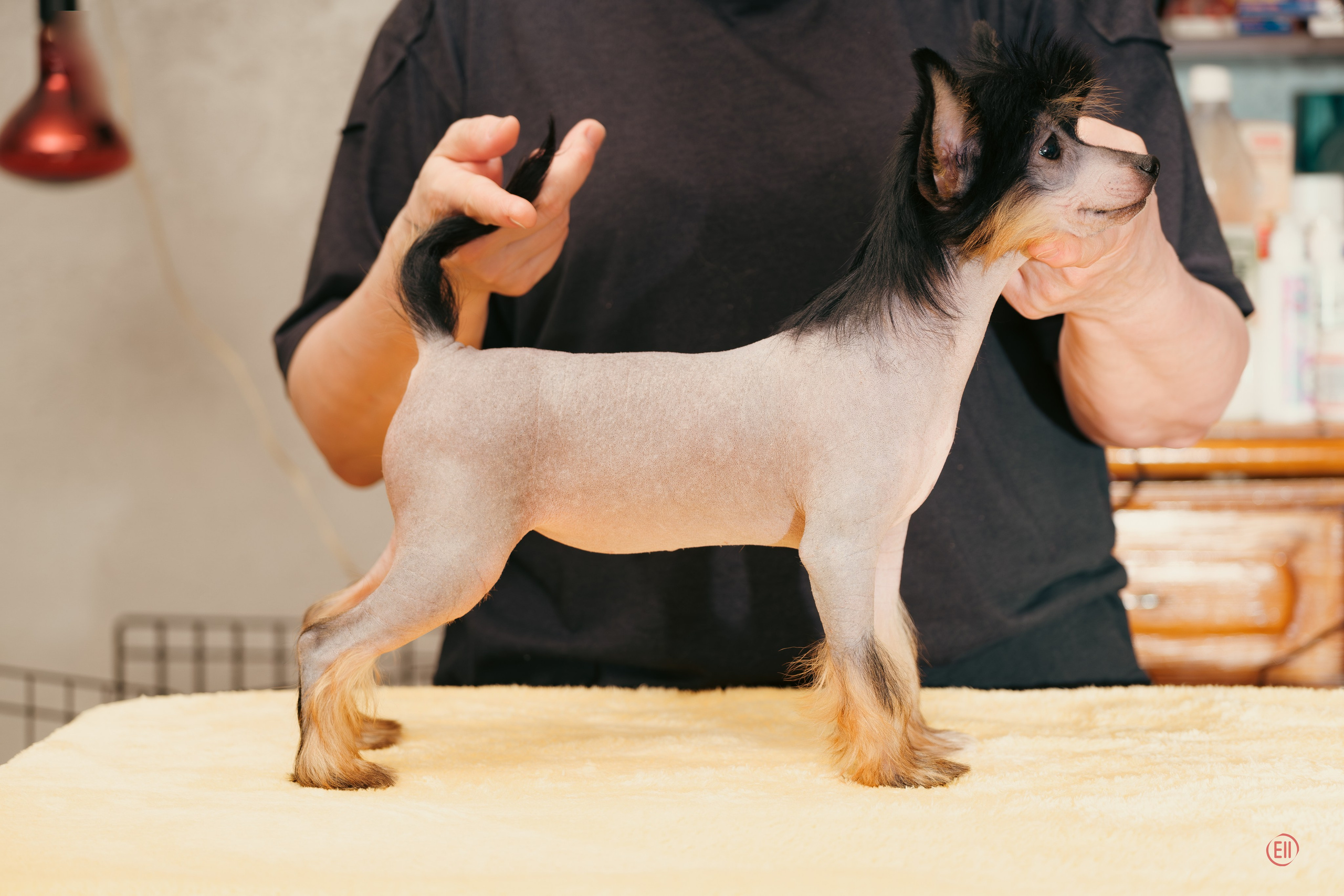 Помёт V. Фотосессия 2. 28.04.2024. Фотограф в Москве