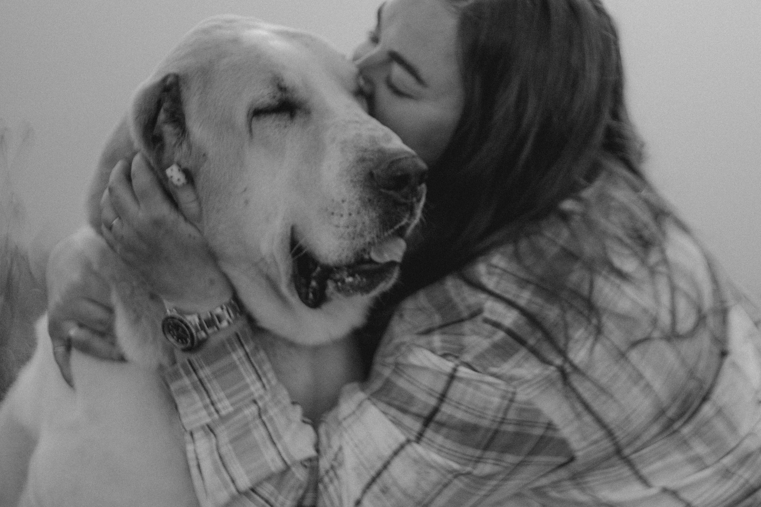 Настя и Рахат. Фотограф анималист в Москве и Санкт-Петербурге Свиридова Анна