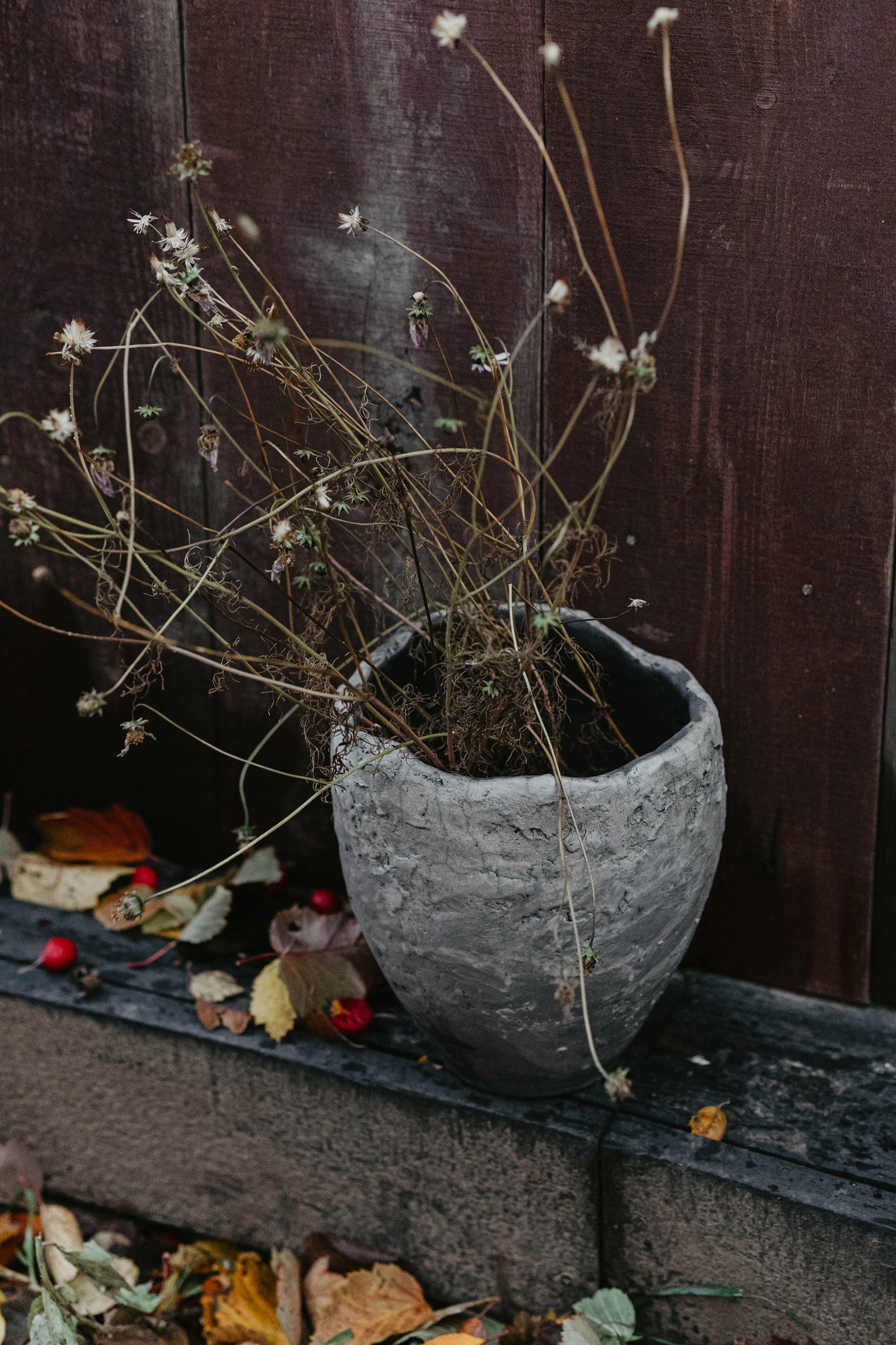 Ваза Айла. Фотограф Эльмира Лин