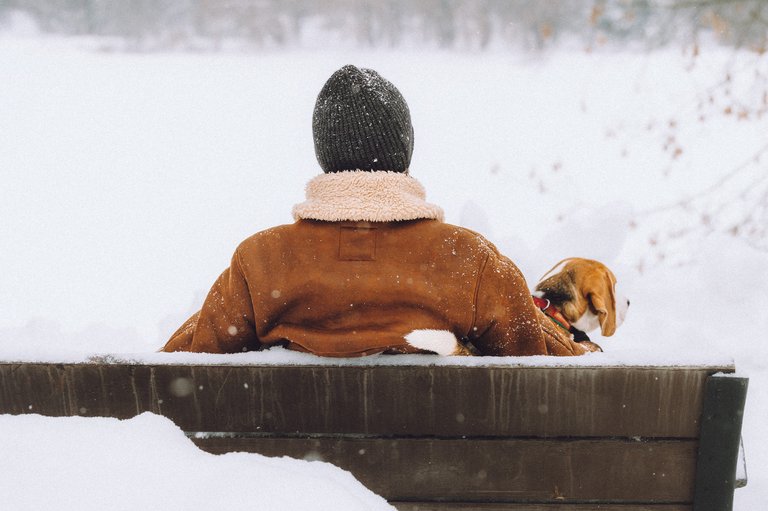 Роман, Портер и Коррес