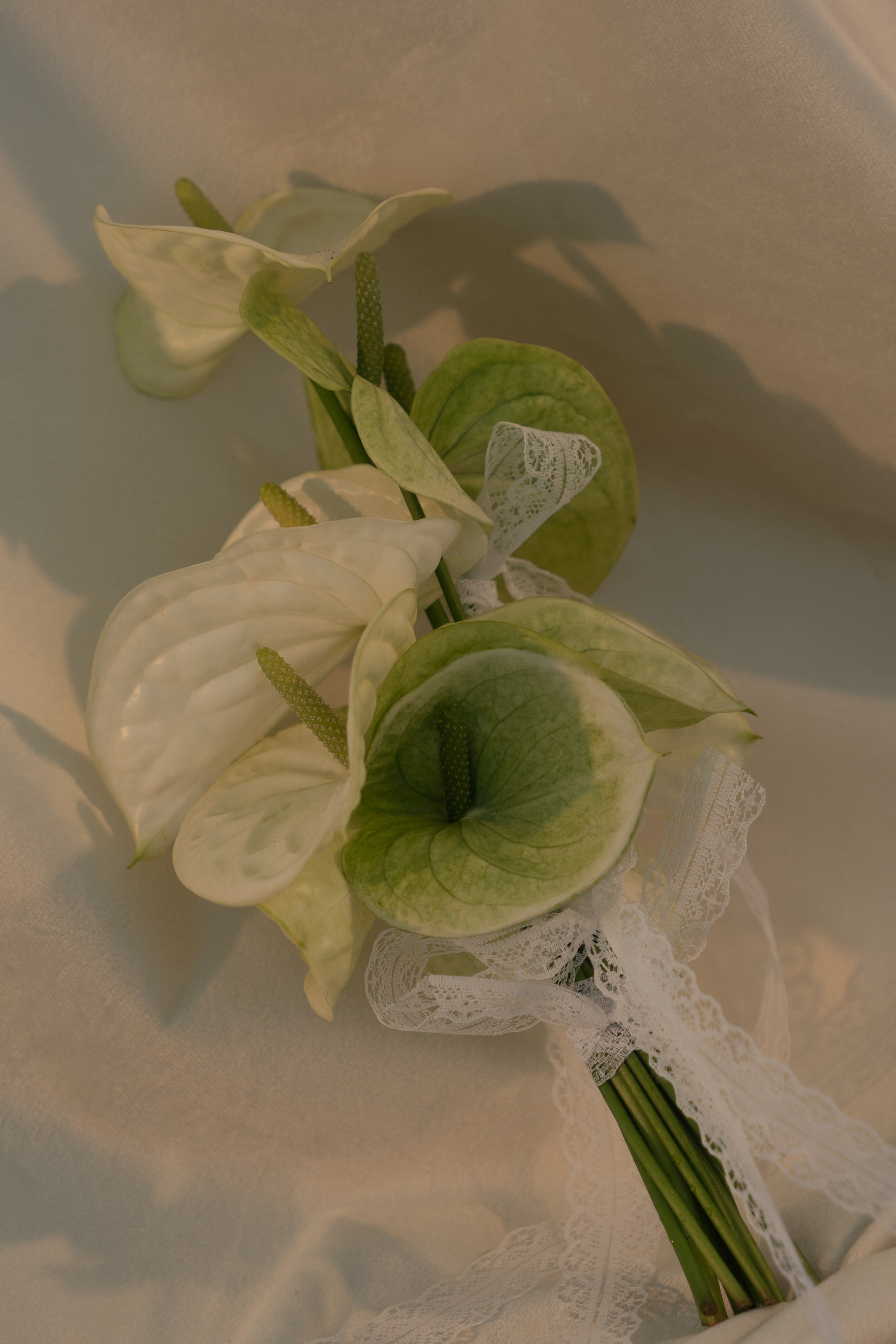The Wedding Day. Свадьбы, портреты, семьи, репортаж — Юг России