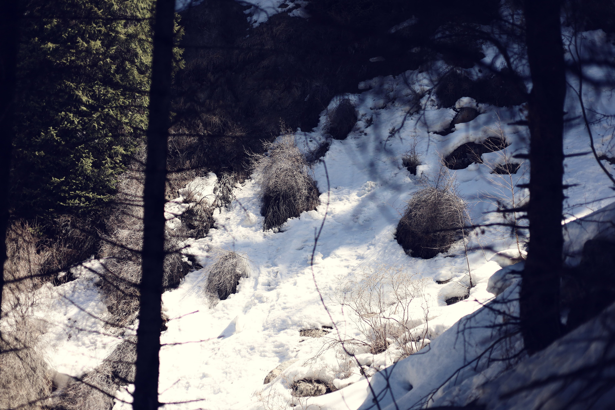 | Девичьи Слезы |. Фотограф |Алматы | Ruslan Zhadigerov