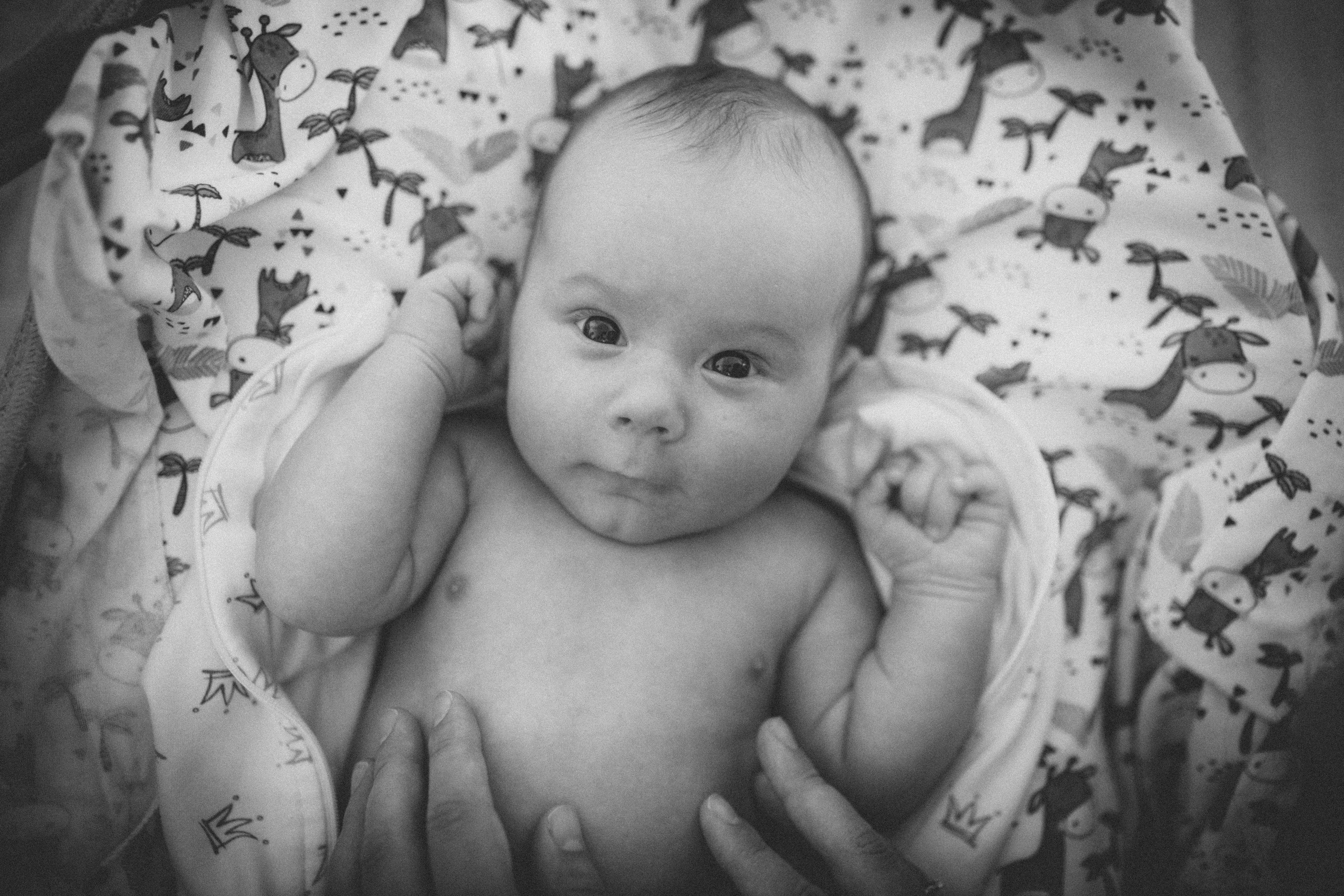 Аня, Кирилл и Ярослав. Семейный фотограф и фотограф на роды в Ростове-на-Дону Мухина Виктория