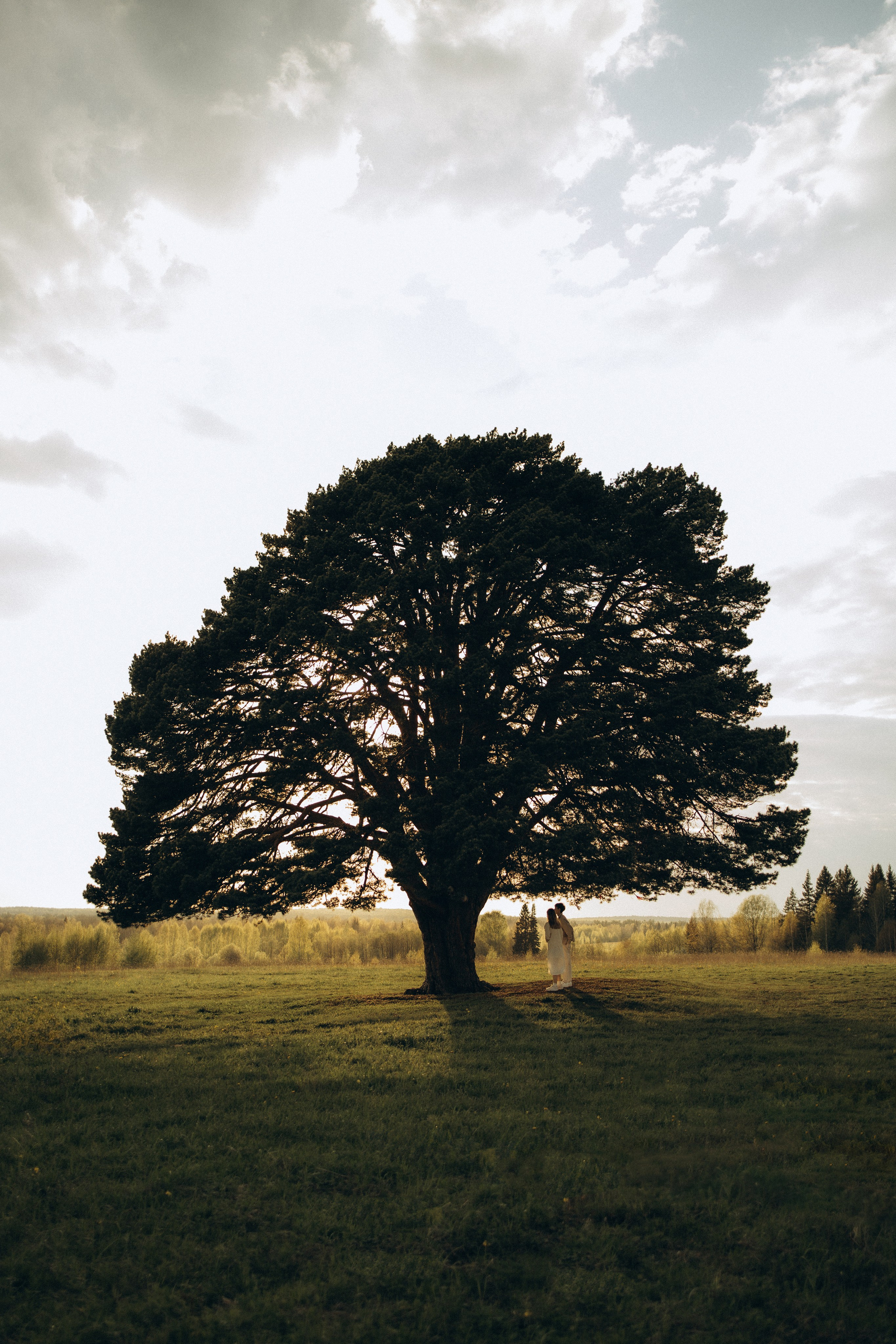 Лавстори ~300-летняя сосна~. Семейный фотограф в Ижевске Даша Денисова