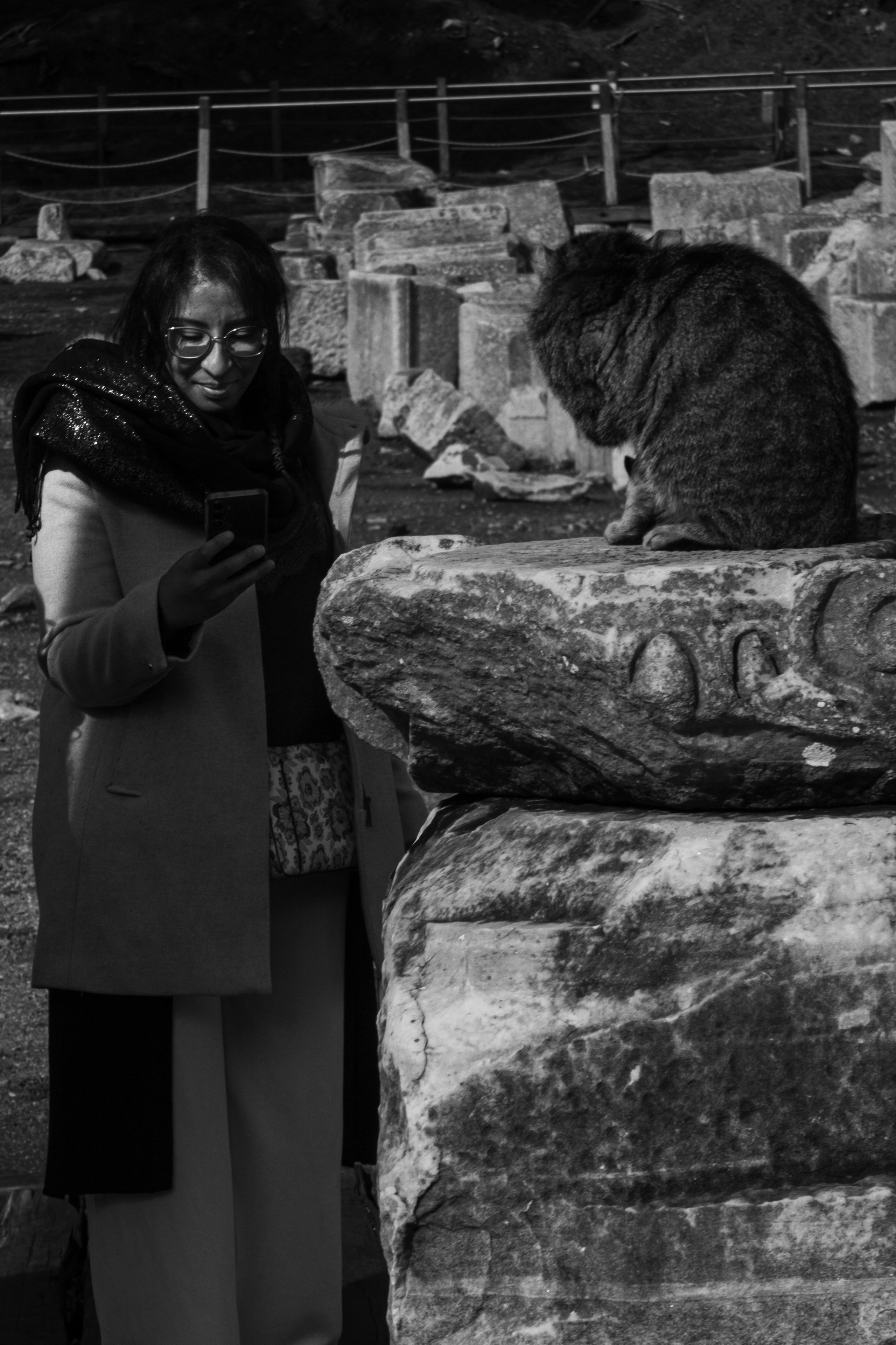 Животные. Фотограф Москва, портрет, стрит, репортаж. Художественная фотосессия