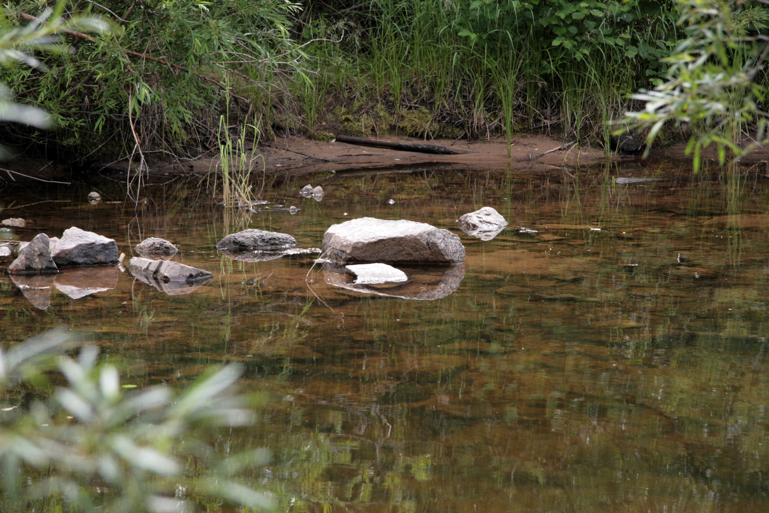 Фото Природы Забайкалья. Студия Максима Белослюдцева
