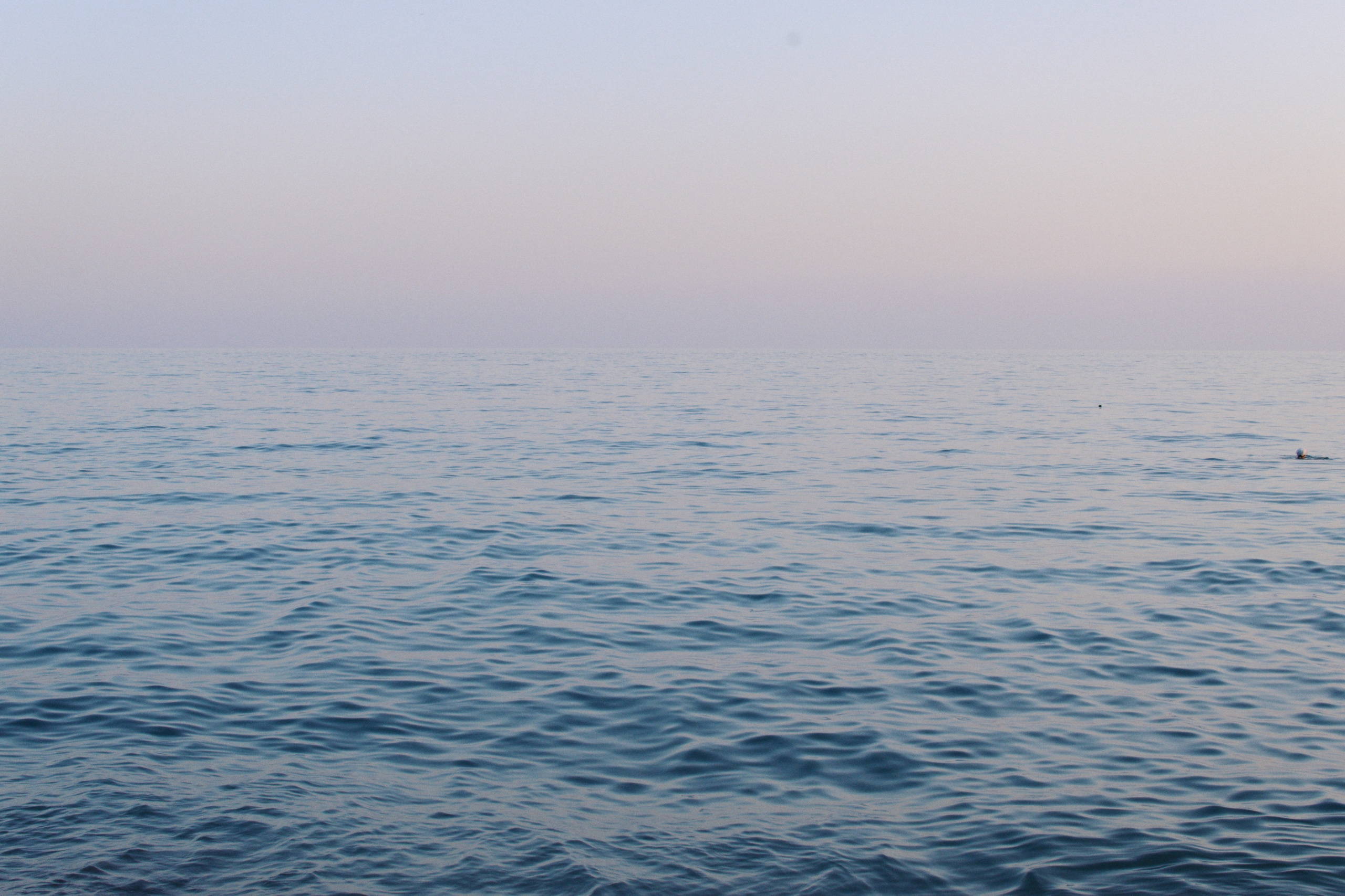 Фотограф • Елена Миронова