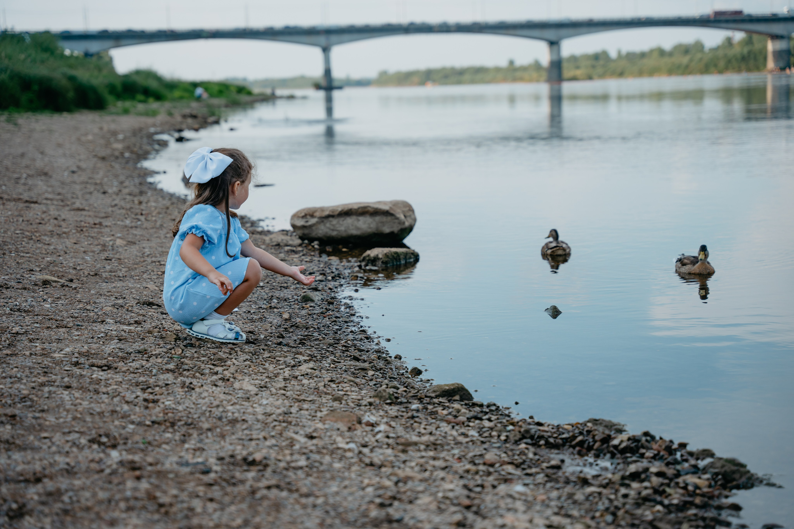 Кира и флоксы