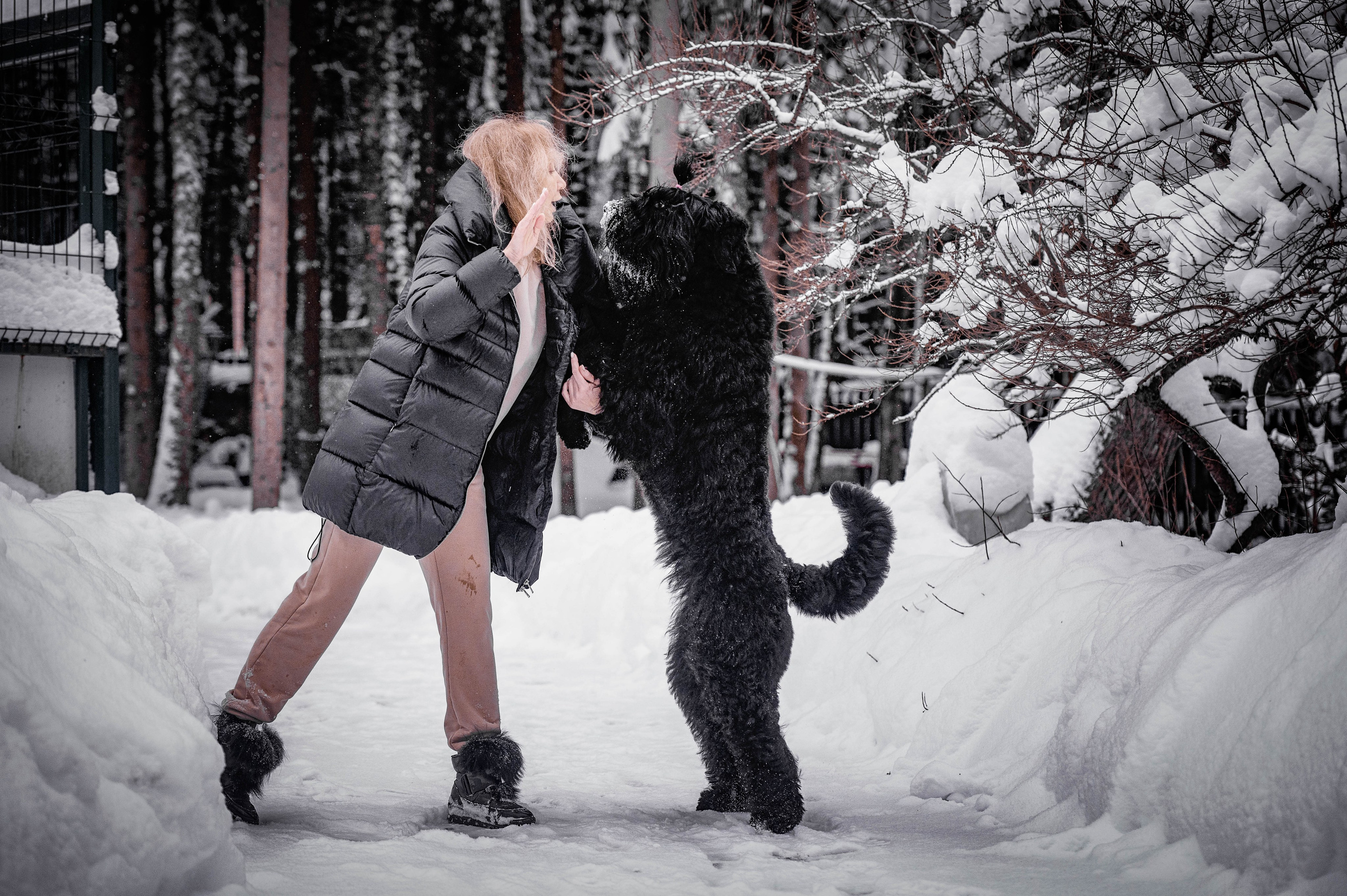 Клео. Фотограф-анималист