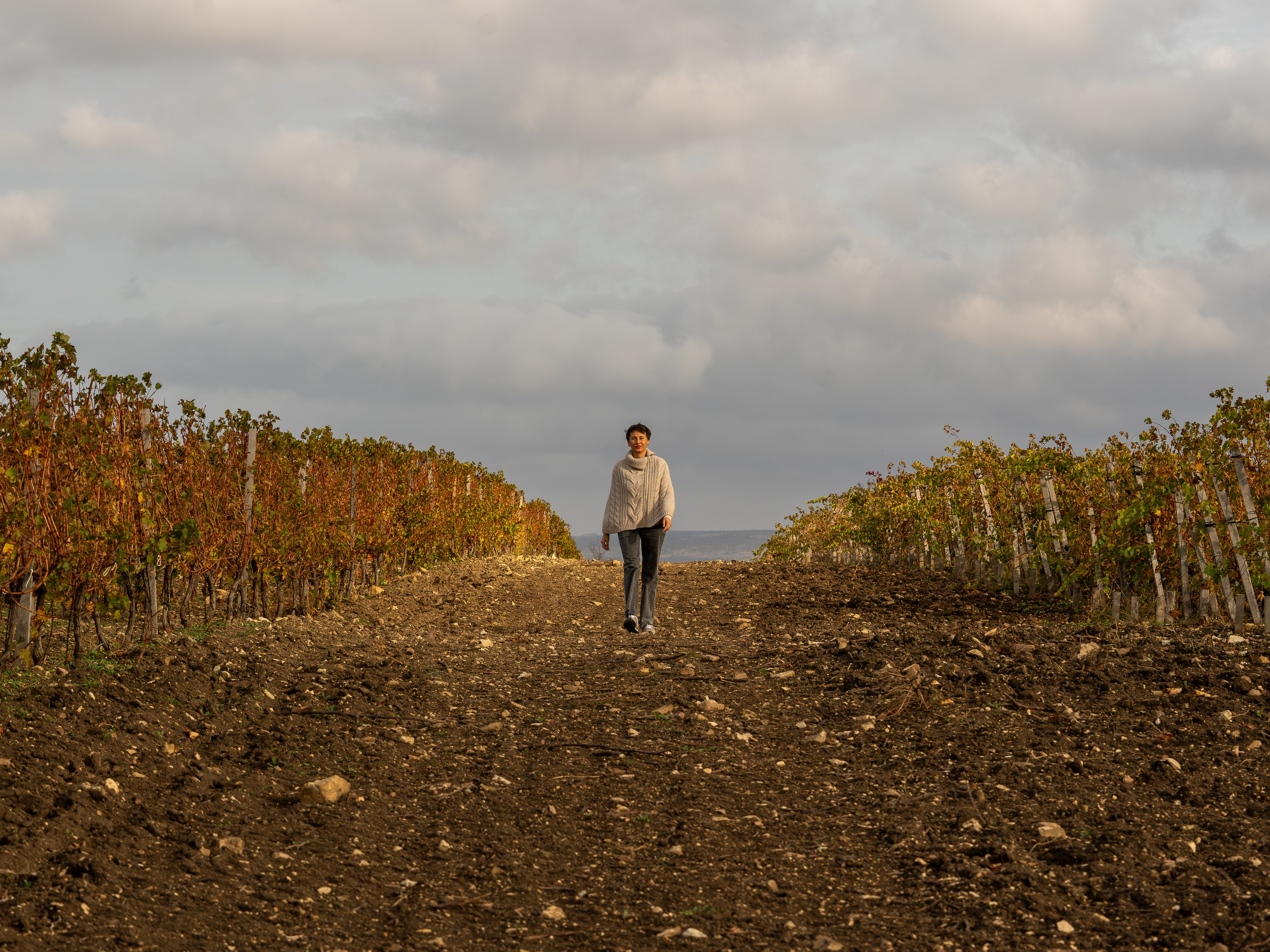 Литературная мастерская с Ольгой Шутовой в «Винотеррии». Репортажный фотограф в Красной Поляне и Сочи Павлюченко Екатерина