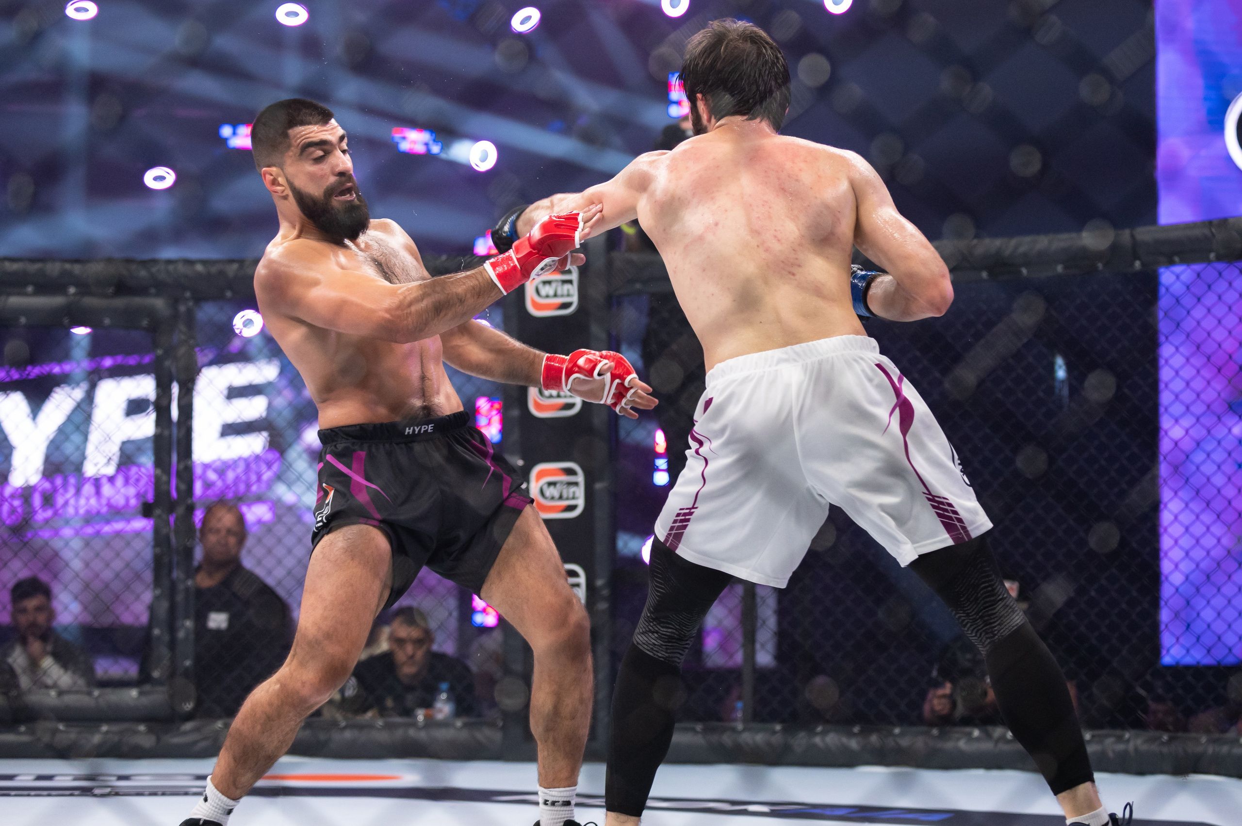 Бои. Репортажный фотограф в Красной Поляне и Сочи Павлюченко Екатерина