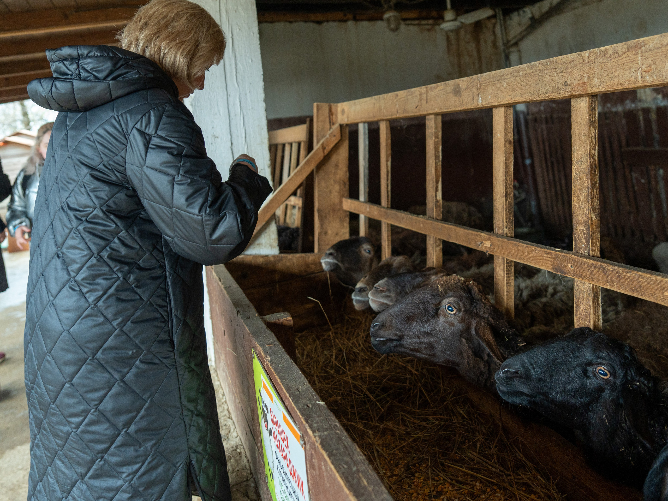 MICE мероприятие на ферме Экзархо. Репортажный фотограф в Красной Поляне и Сочи Павлюченко Екатерина