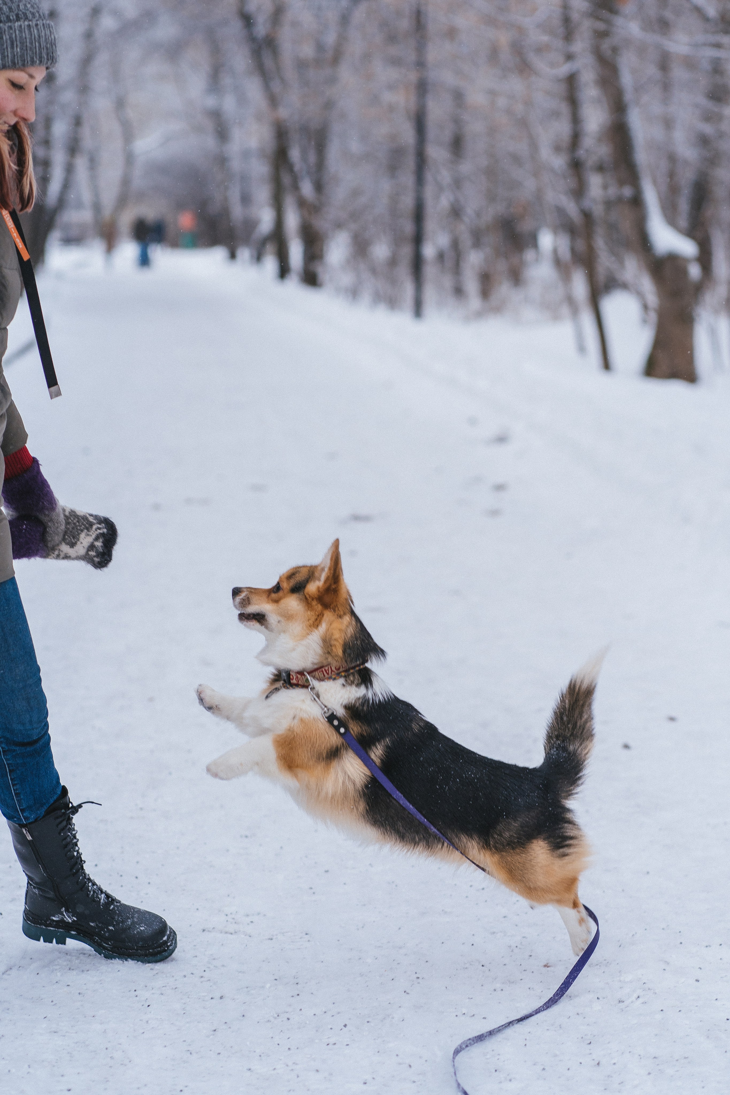 Каспер и Полина. Свадебный фотограф в Москве Анна Полушина