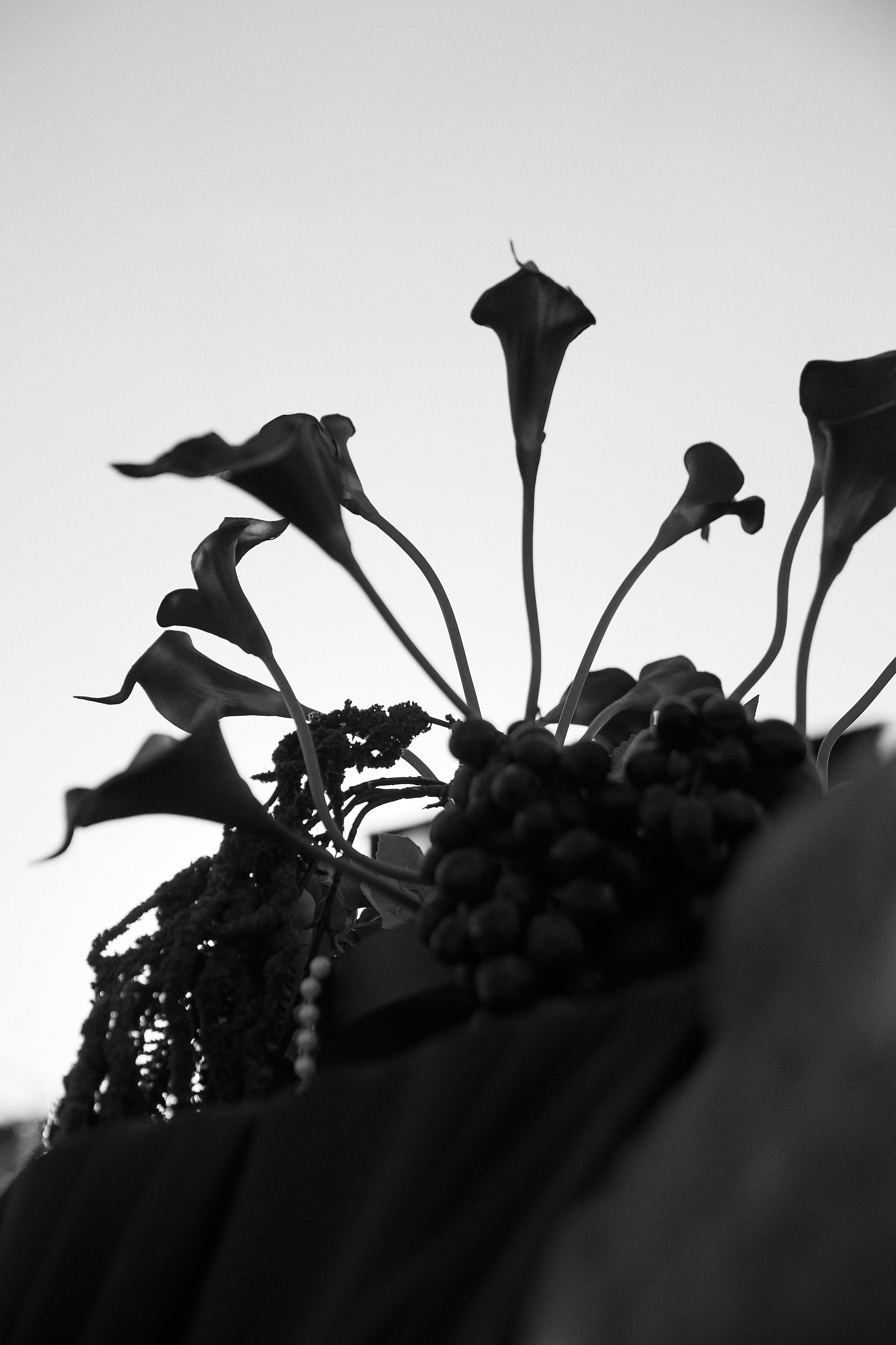 We'd. Фотограф Максим Маркелов