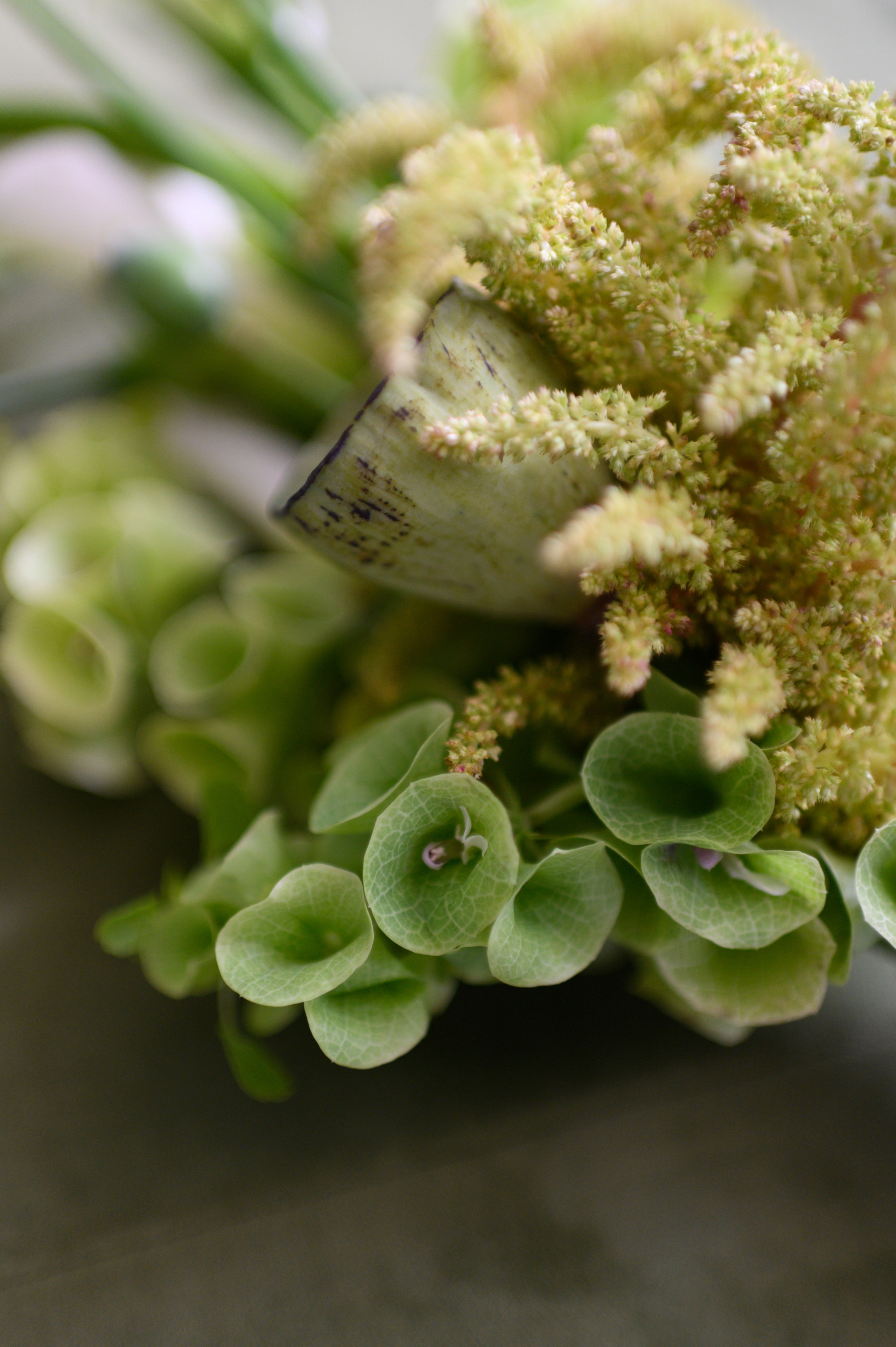 Никита & Катя. Оформление свадеб, декор свадеб Вера Маркова, Москва