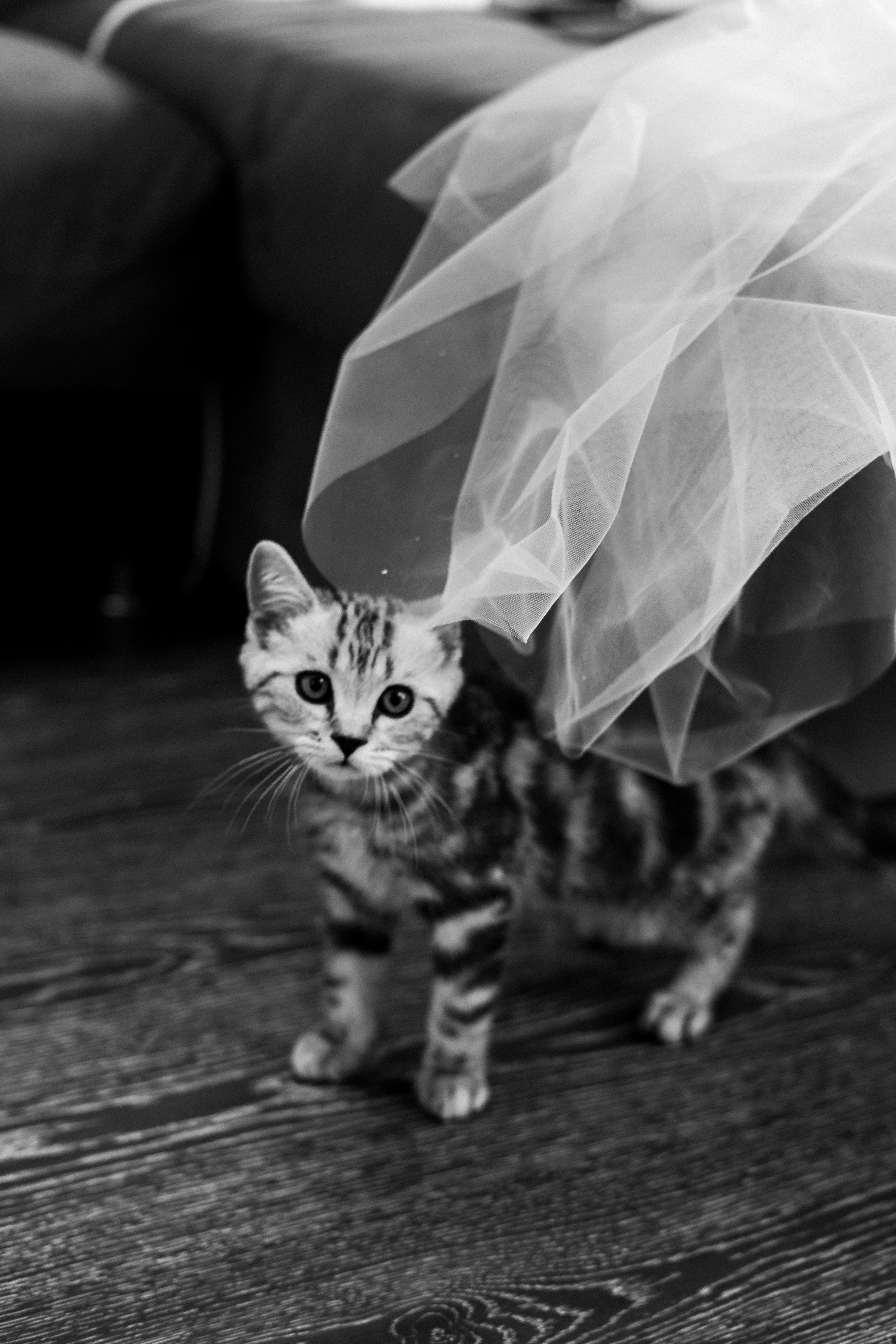 Свадьбы. Фотограф Алматы