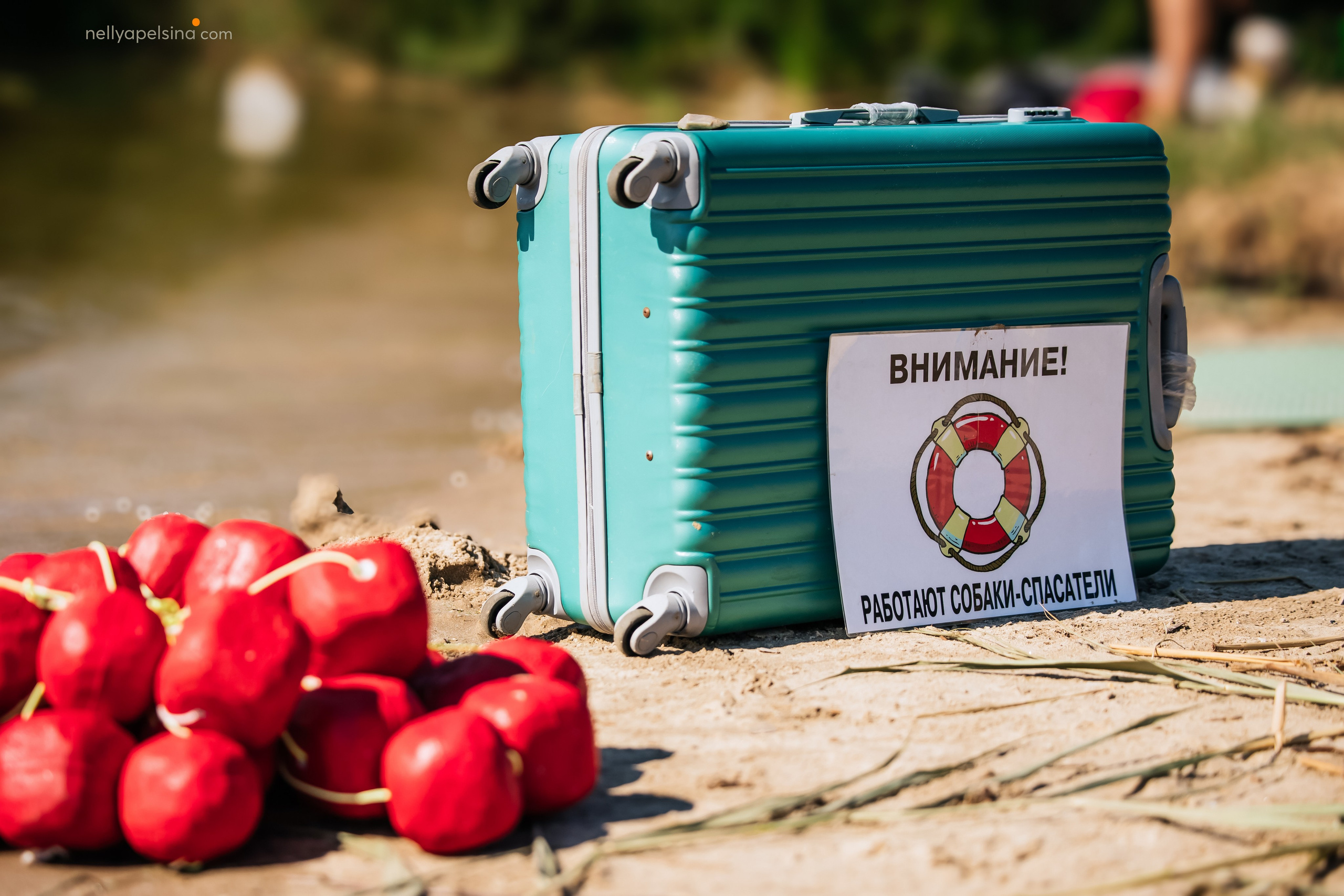 ССВ (Служба спасения на водах, интенсив). Фотограф Нелли Самойлова
