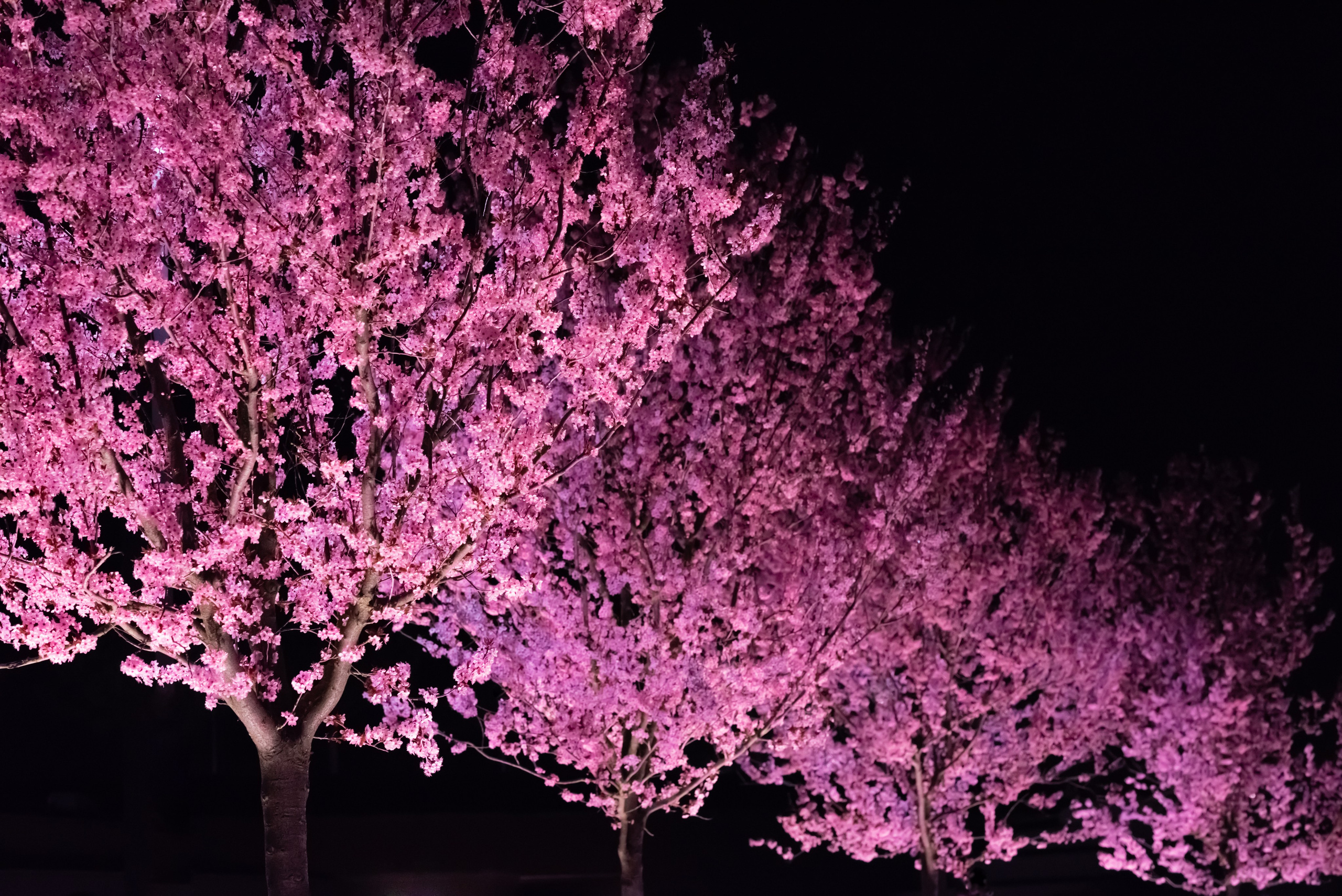 Краснодар в кадре: взгляд рекламного фотографа из Гуанчжоу. Коммерческий и предметный фотограф в Гуанчжоу Коваленко Александр
