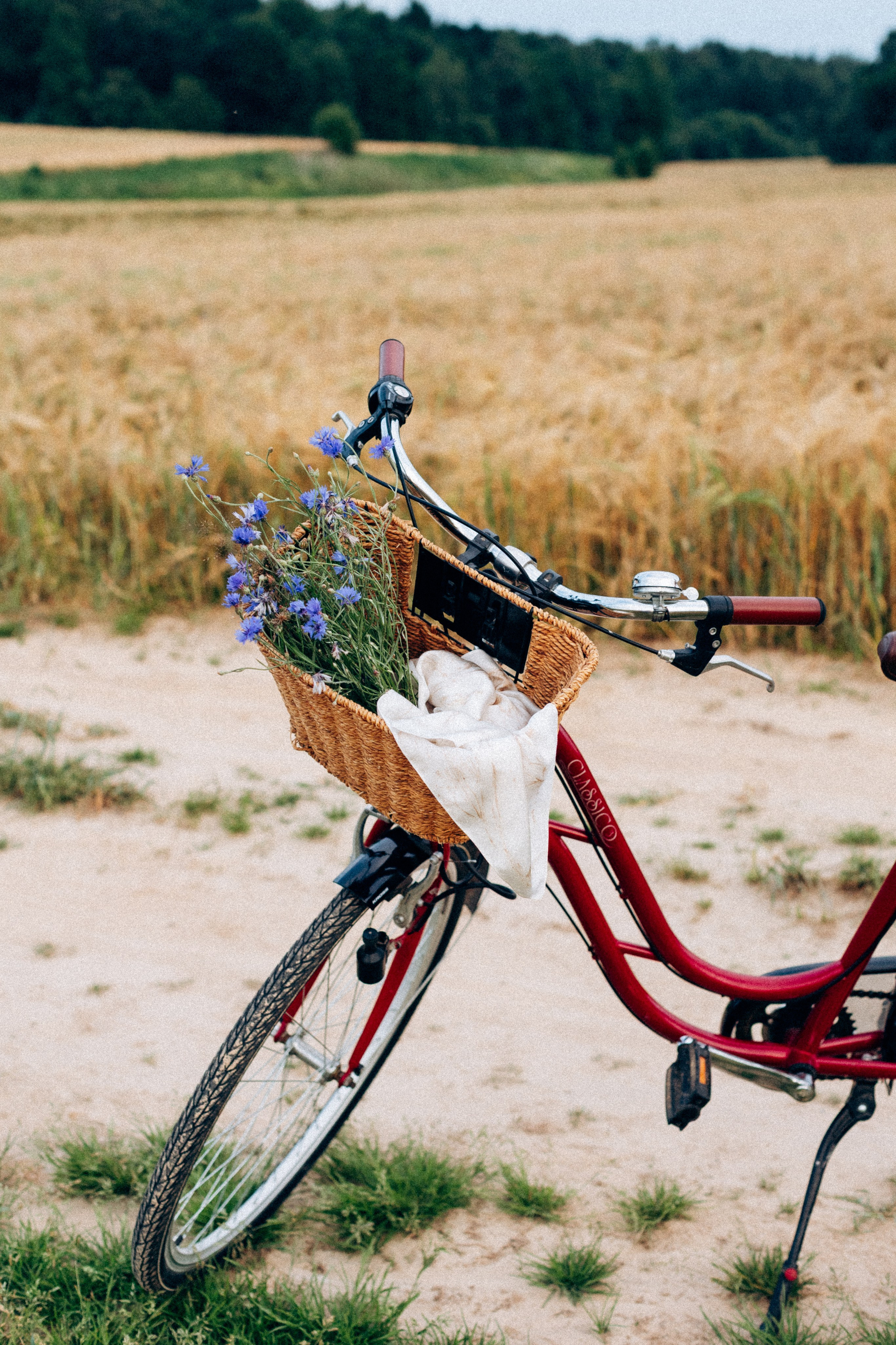 А чем пахнет ваше лето?. Портретный фотограф в Минске Анна Волейко