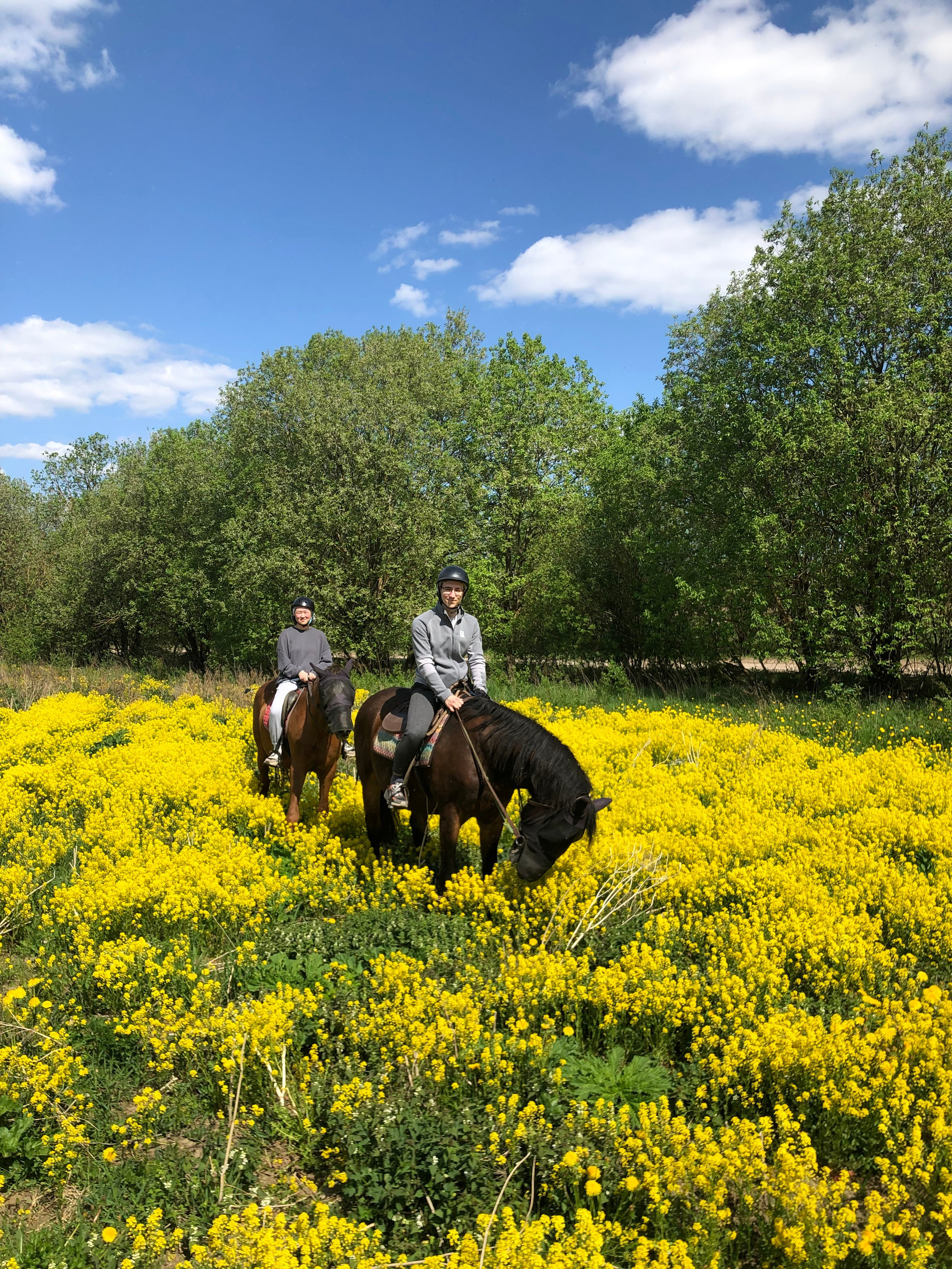 Май. Семейный, Свадебный фотограф СПБ Питер— Романова Екатерина