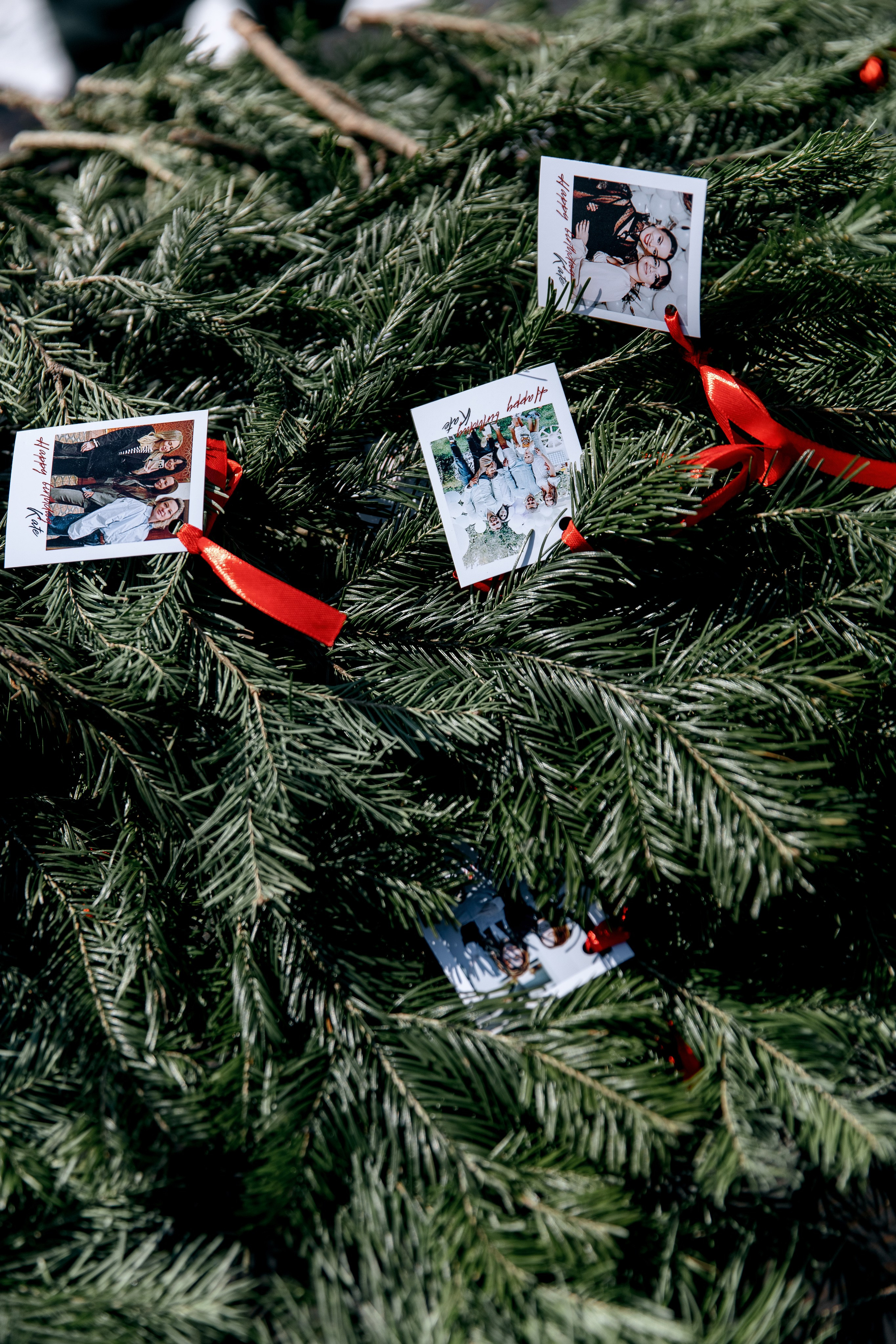 ДЕНЬ ДОЖДЕНИЯ ЕКАТЕРИНЫ. Фотограф в Красноярске