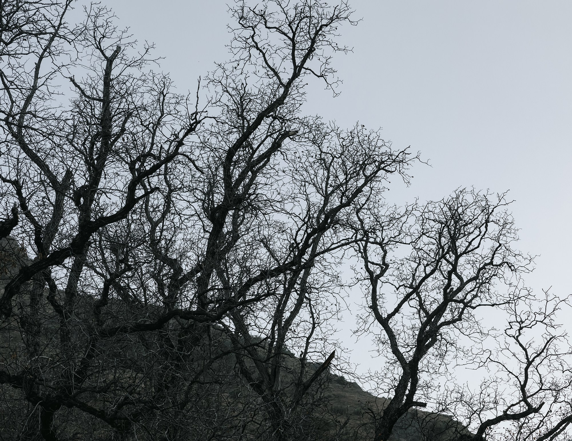 Dagestan. Seasons. Autumn. Documentary and art photographer Alexey Terentyev