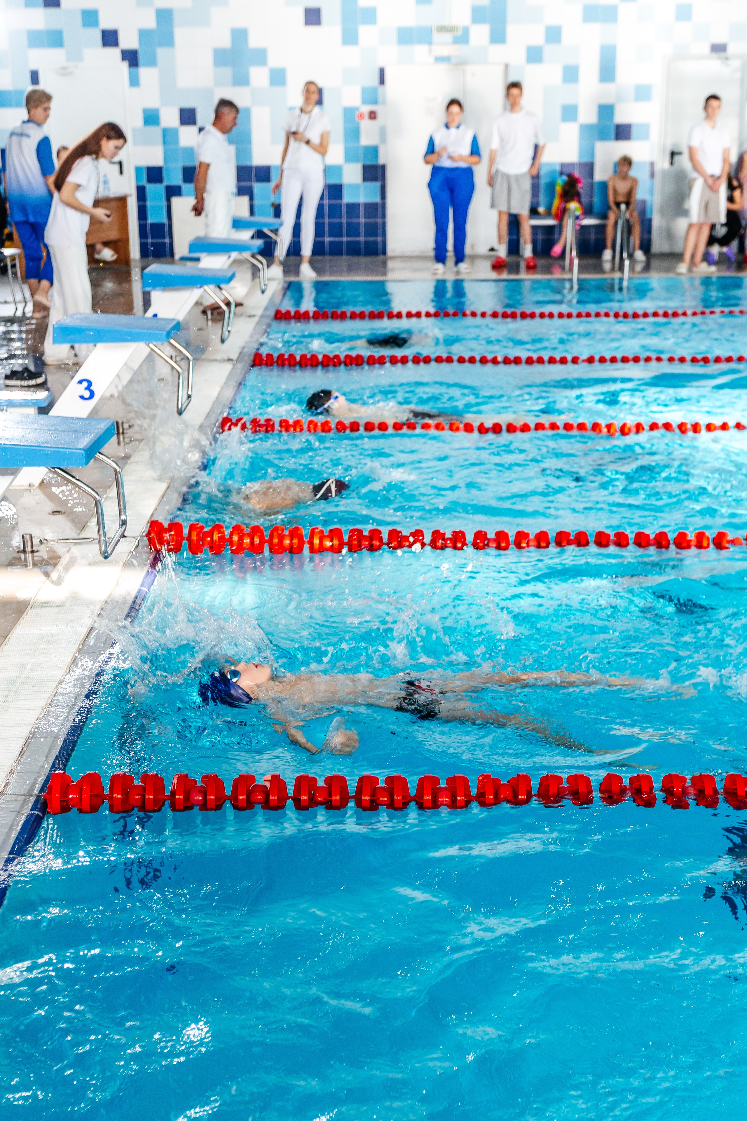 Школа плавания «Виктория». Свадебный фотограф в Краснодаре Николай Крауз