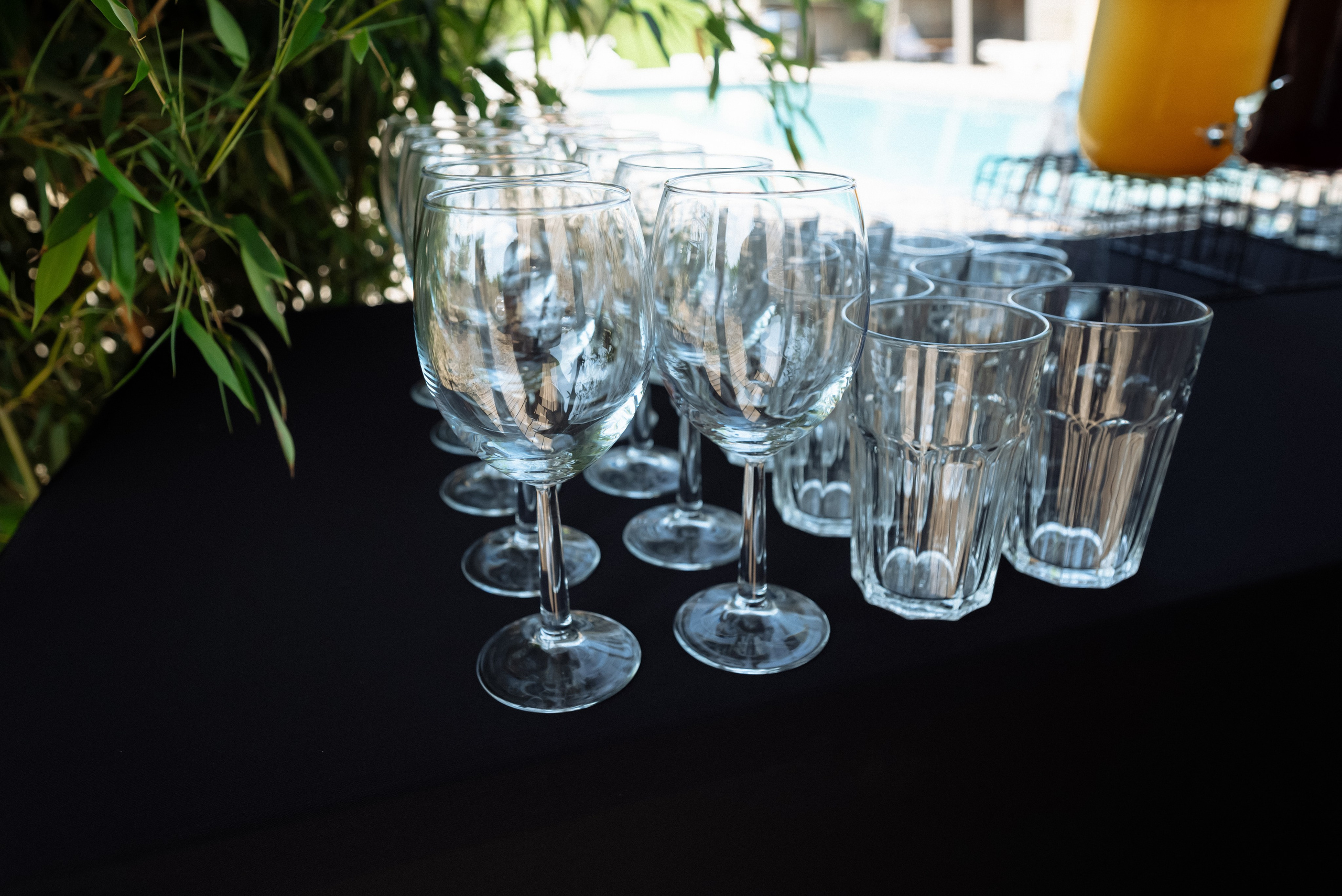 Корпоратив 5 лет компании. Фотограф в Краснодарском крае Александр Шульга