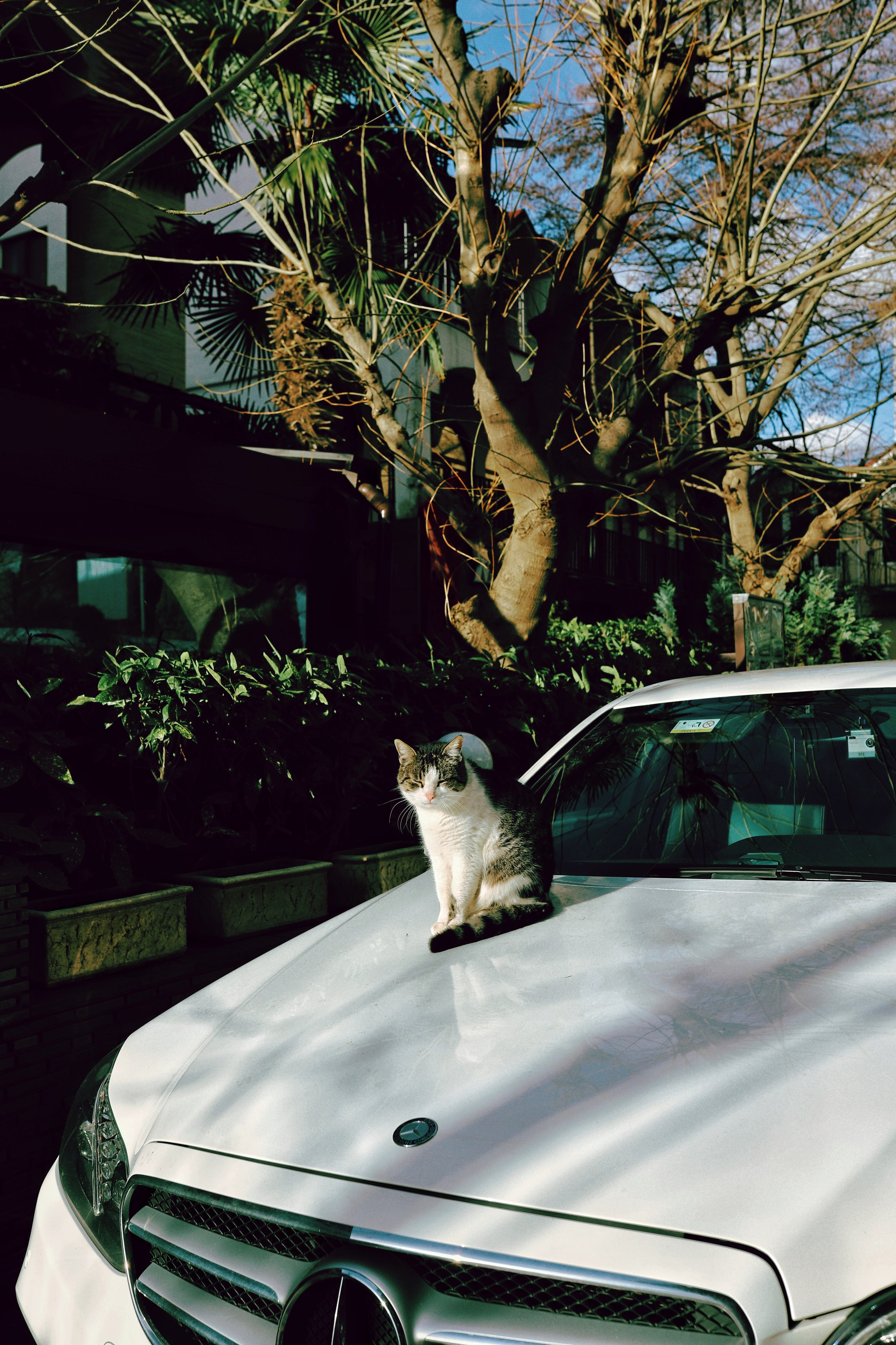 Алушта. Фотограф и видеограф в Санкт-Петербурге