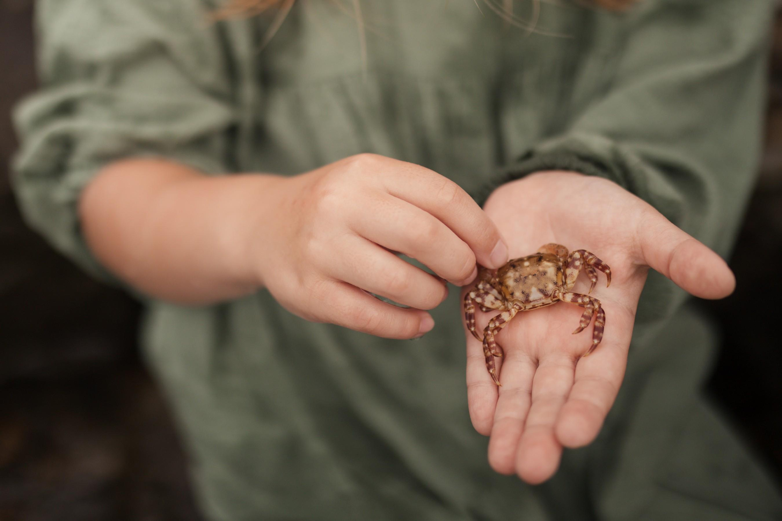 На Токаревском маяке. Семейный фотограф Елизавета Увицкая