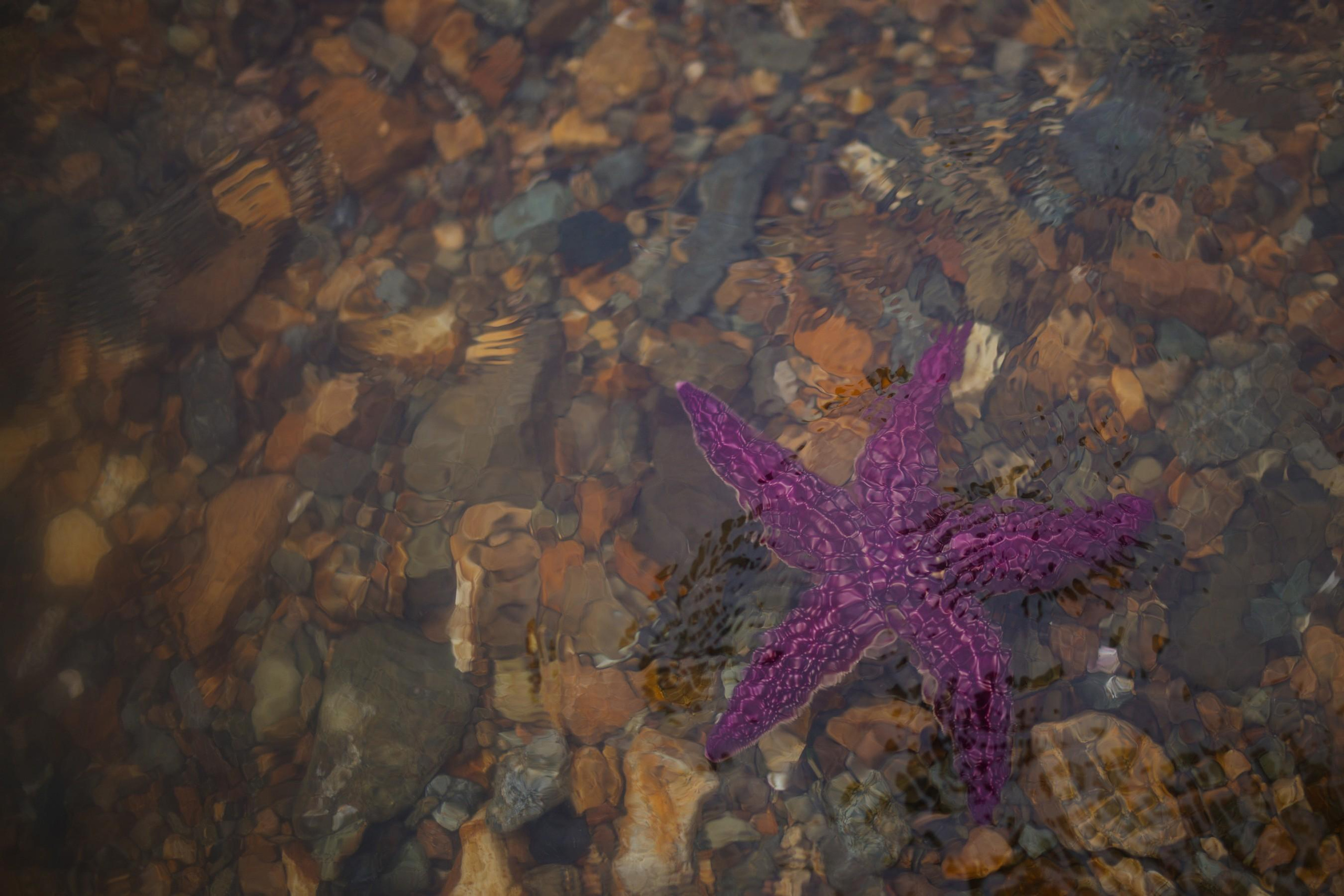 На Токаревском маяке. Семейный фотограф Елизавета Увицкая