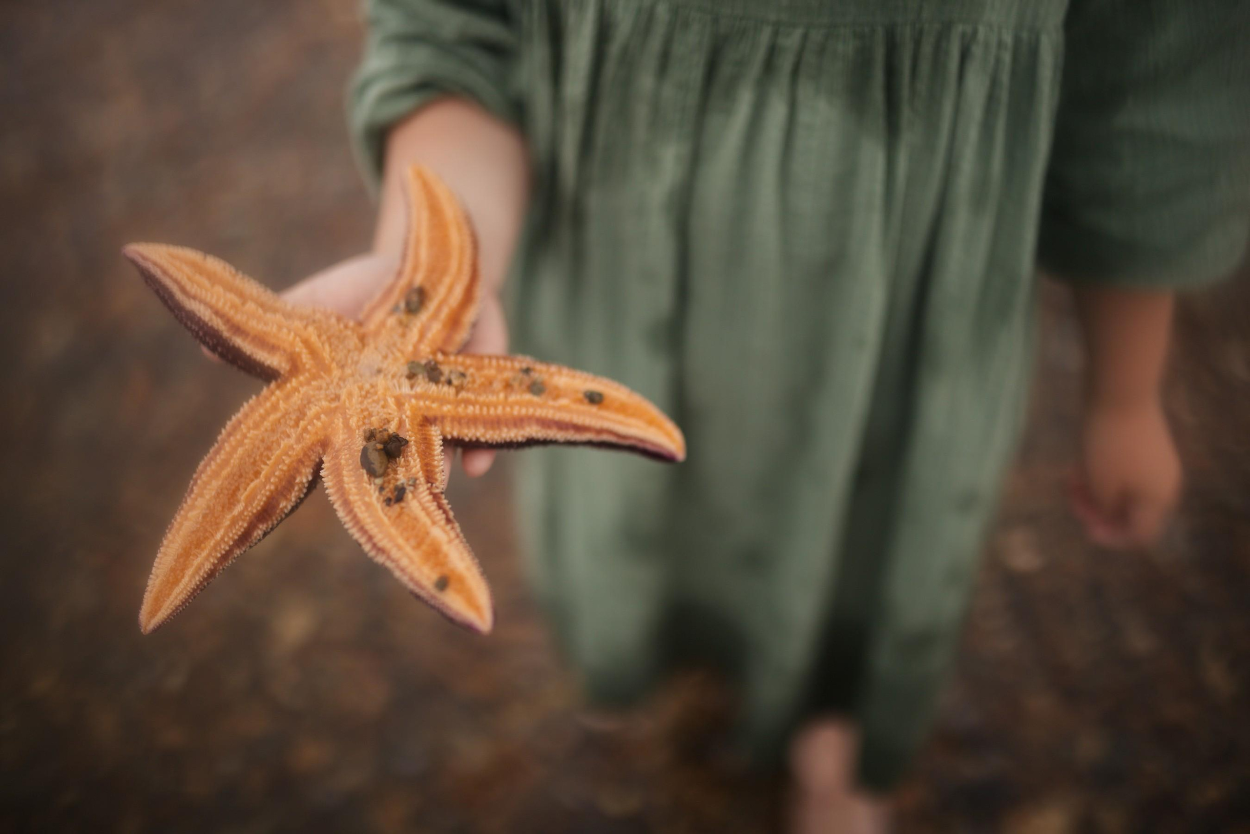 На Токаревском маяке. Семейный фотограф Елизавета Увицкая