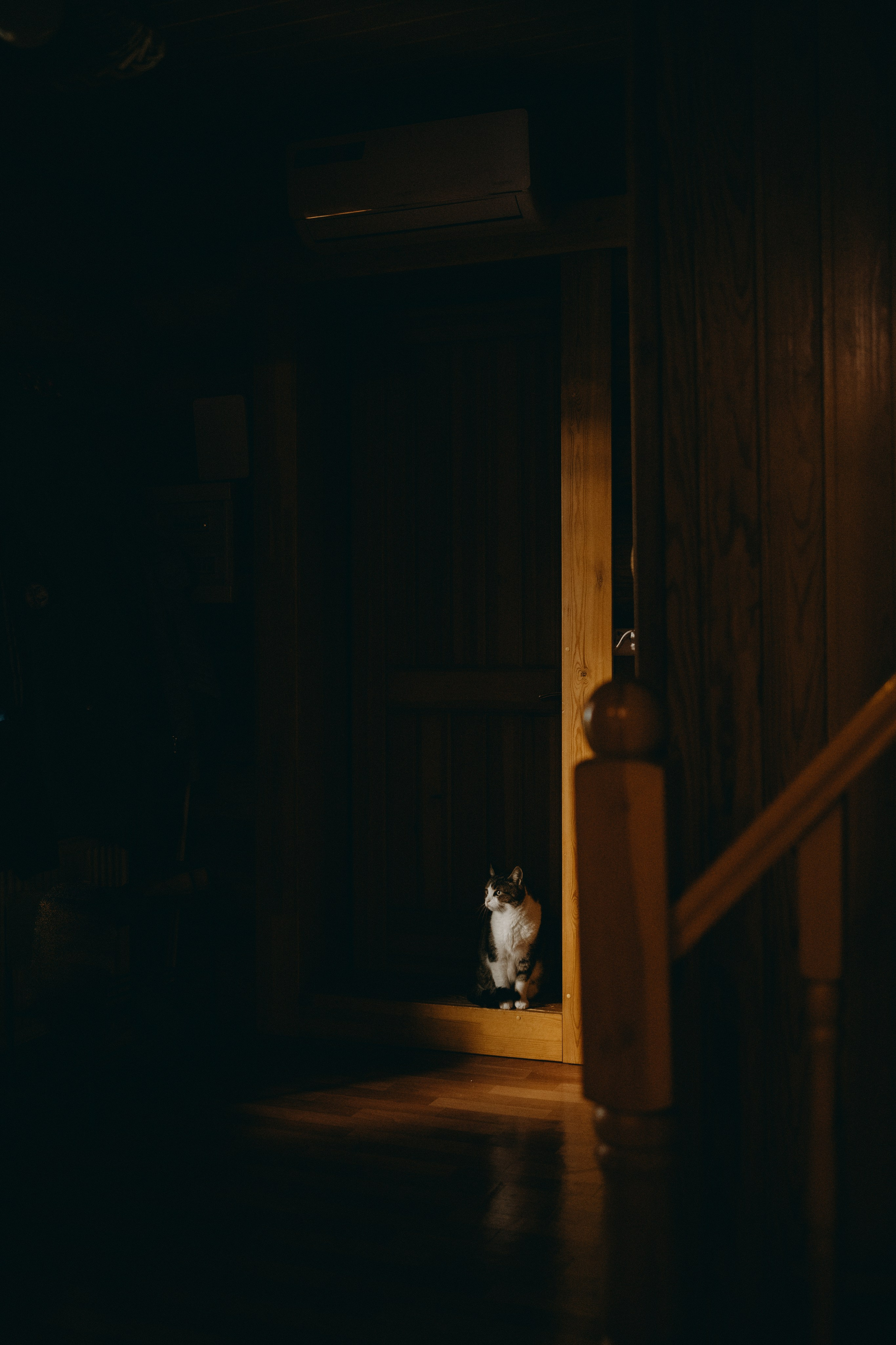 Дом у реки. Фотограф — Анималист | Санкт-Петербург