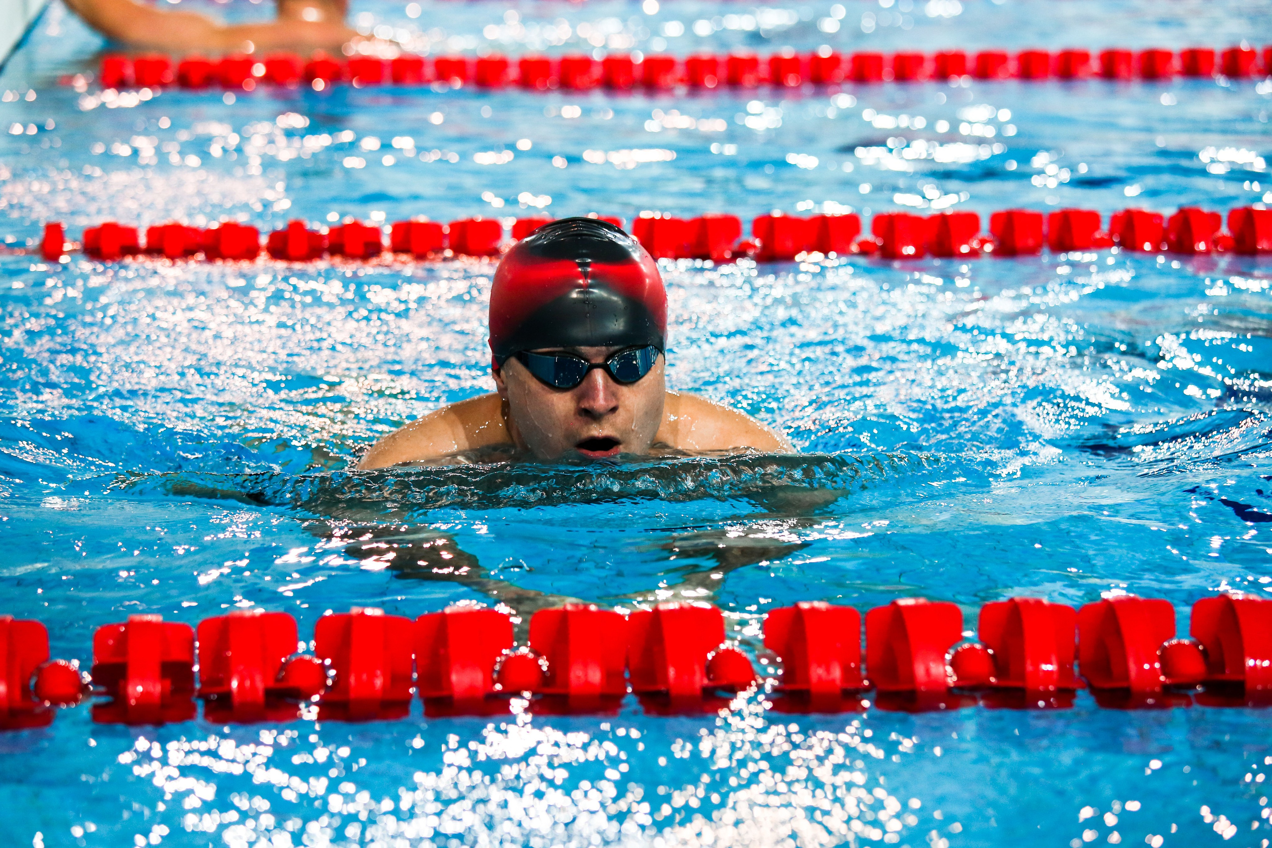 Соревнования по плаванию. Репортажный, семейный, свадебный, портретный фотограф