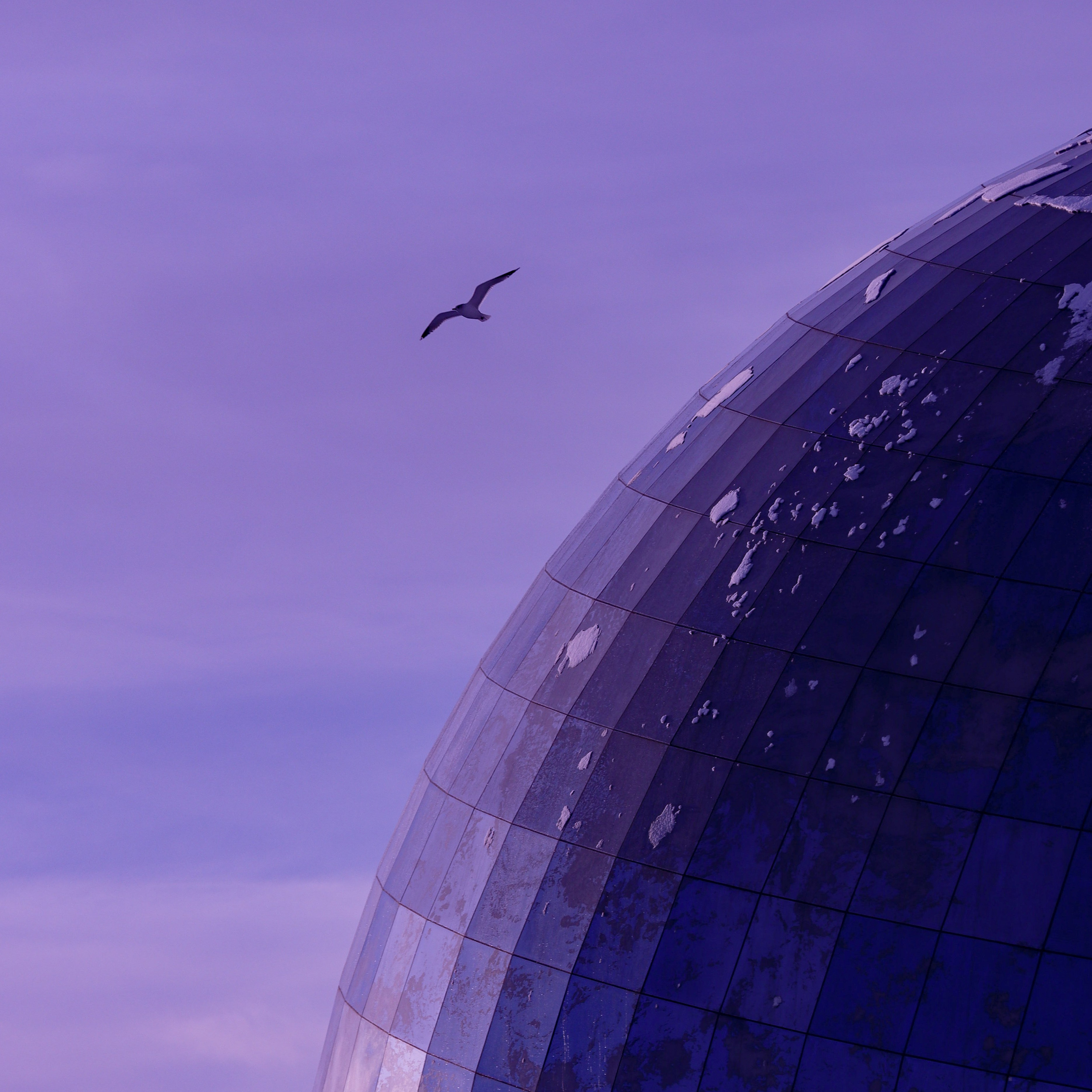 Ф И О Л Е Т О В А Я — Э С Т Е Т И К А. — Digital Noise —