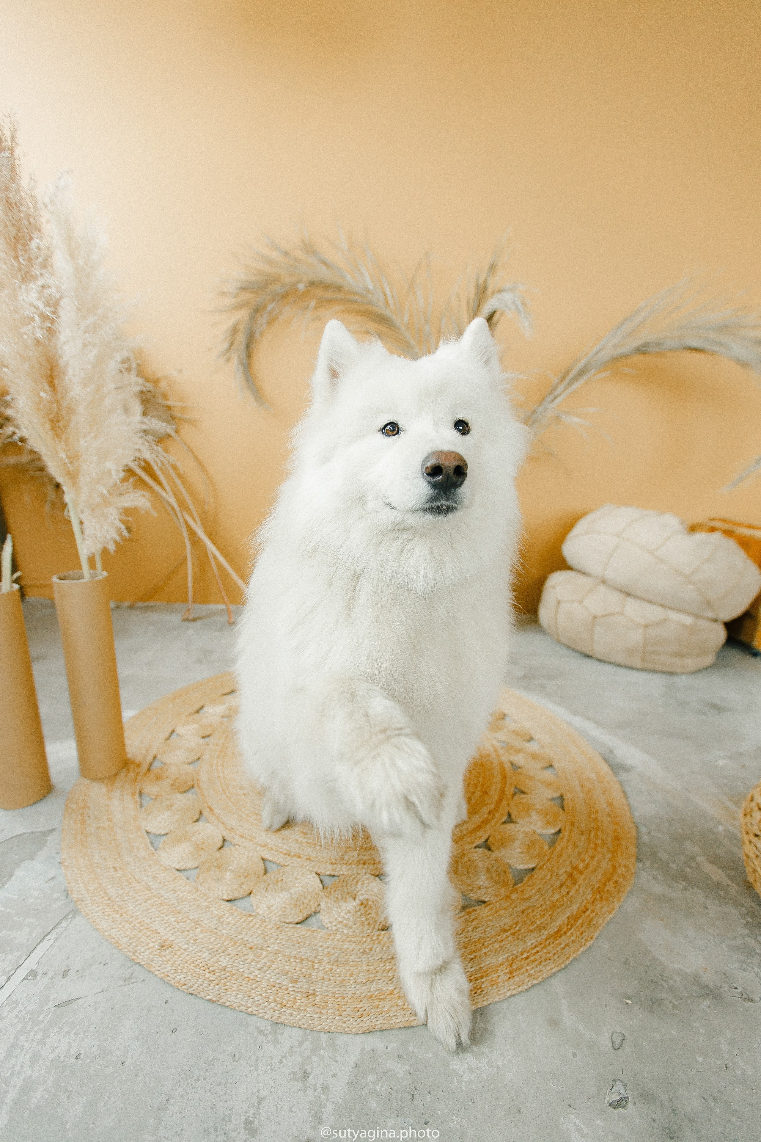 Самоед Мартин. Свадебный и женский фотограф