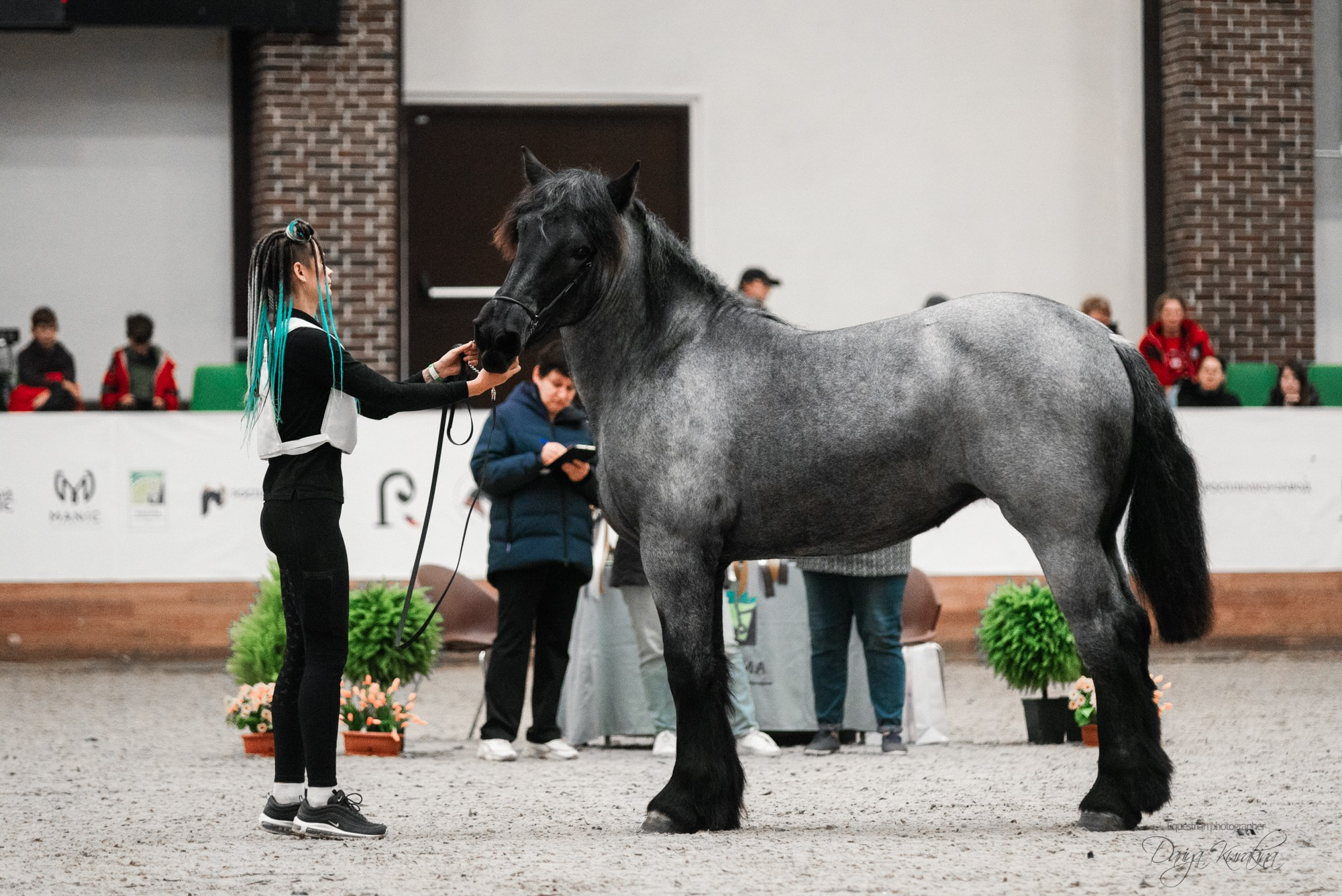 8-я международная выставка Конная Россия. Конный фотограф Куракина Дарья • Фотосессии с лошадьми