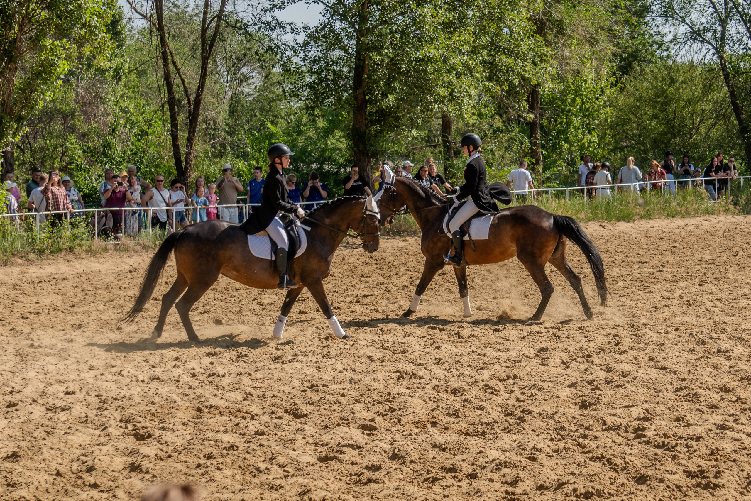 Соревнования по конкуру, Луганск. Фотограф в РФ и ЛНР Юлия Федосеева