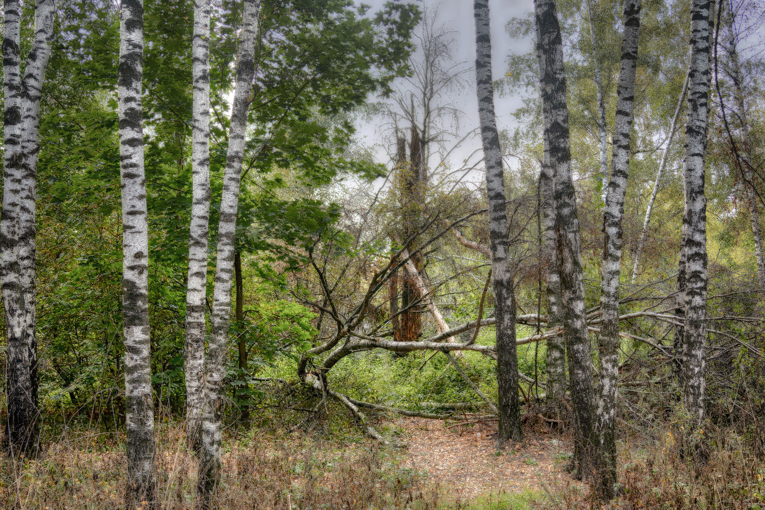 Пейзажи. Свадебный фотограф Олег Шатохин  Москва и Московской область