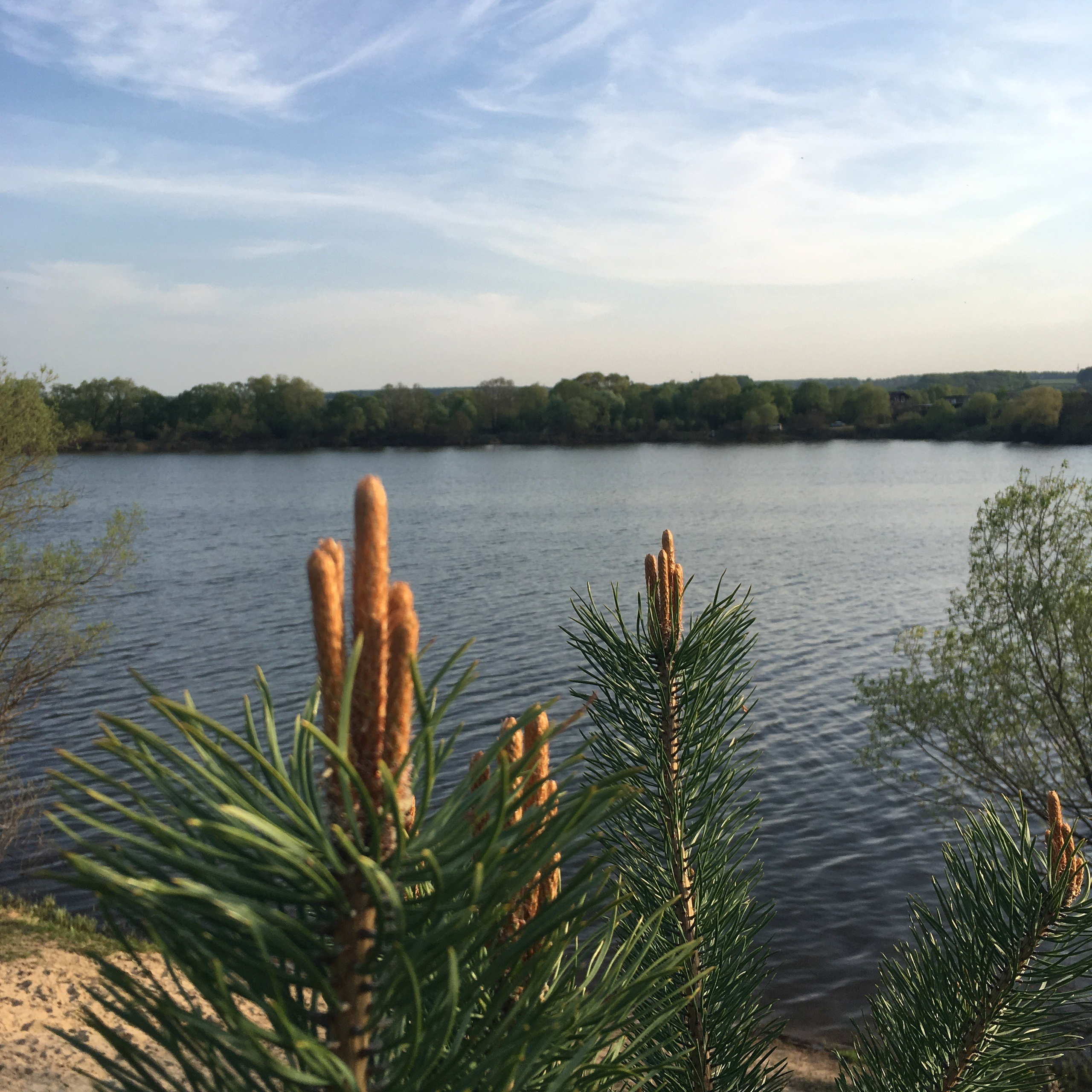 Протвино. Своя Мастерская