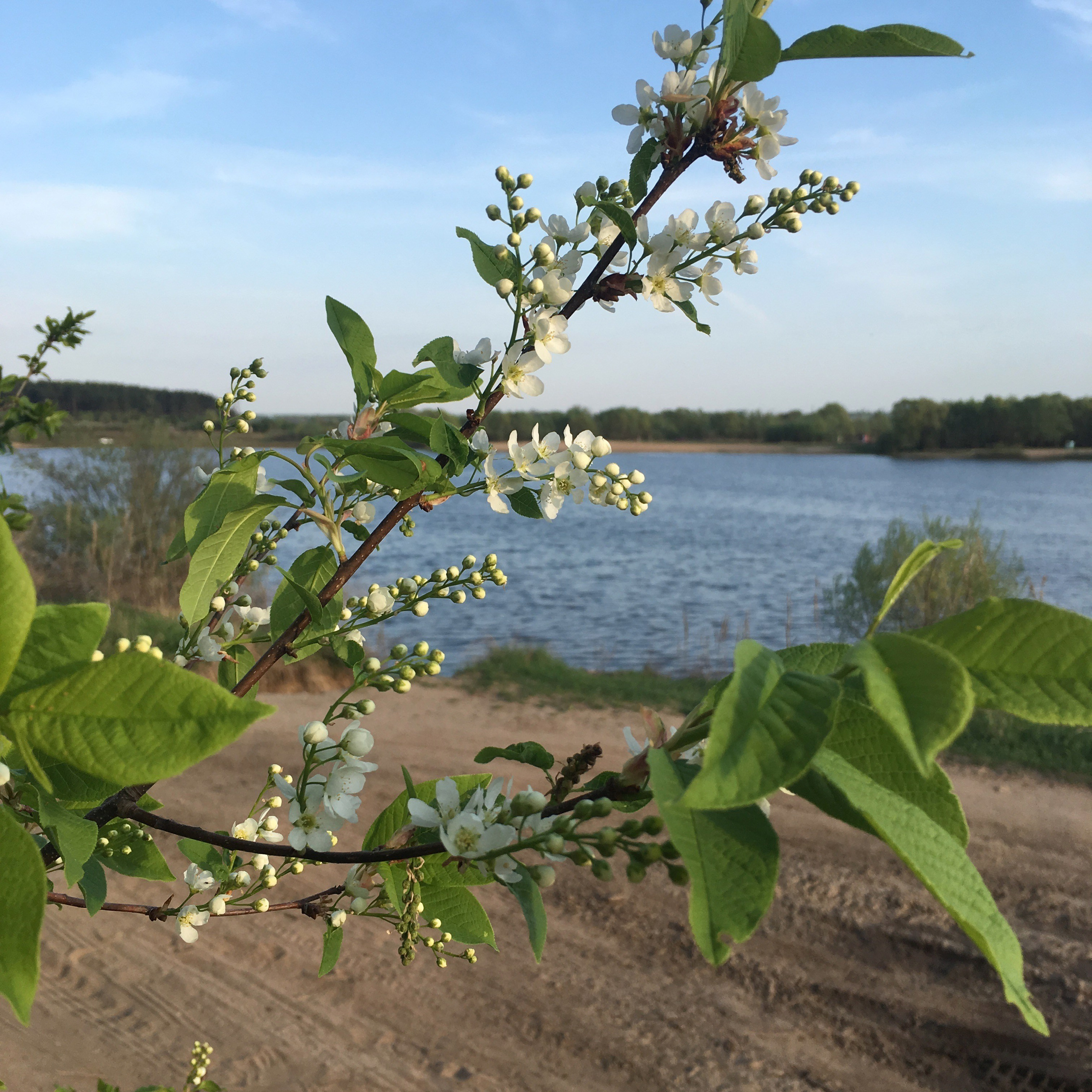 Протвино. Своя Мастерская